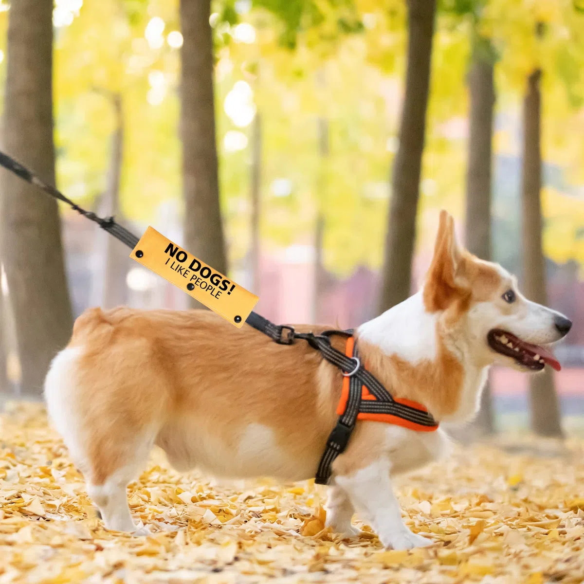 PWHAOO No Dogs/No People Correa Wrap Give Me Space - Correa para perro de rescate (sin mangas para perros como personas)