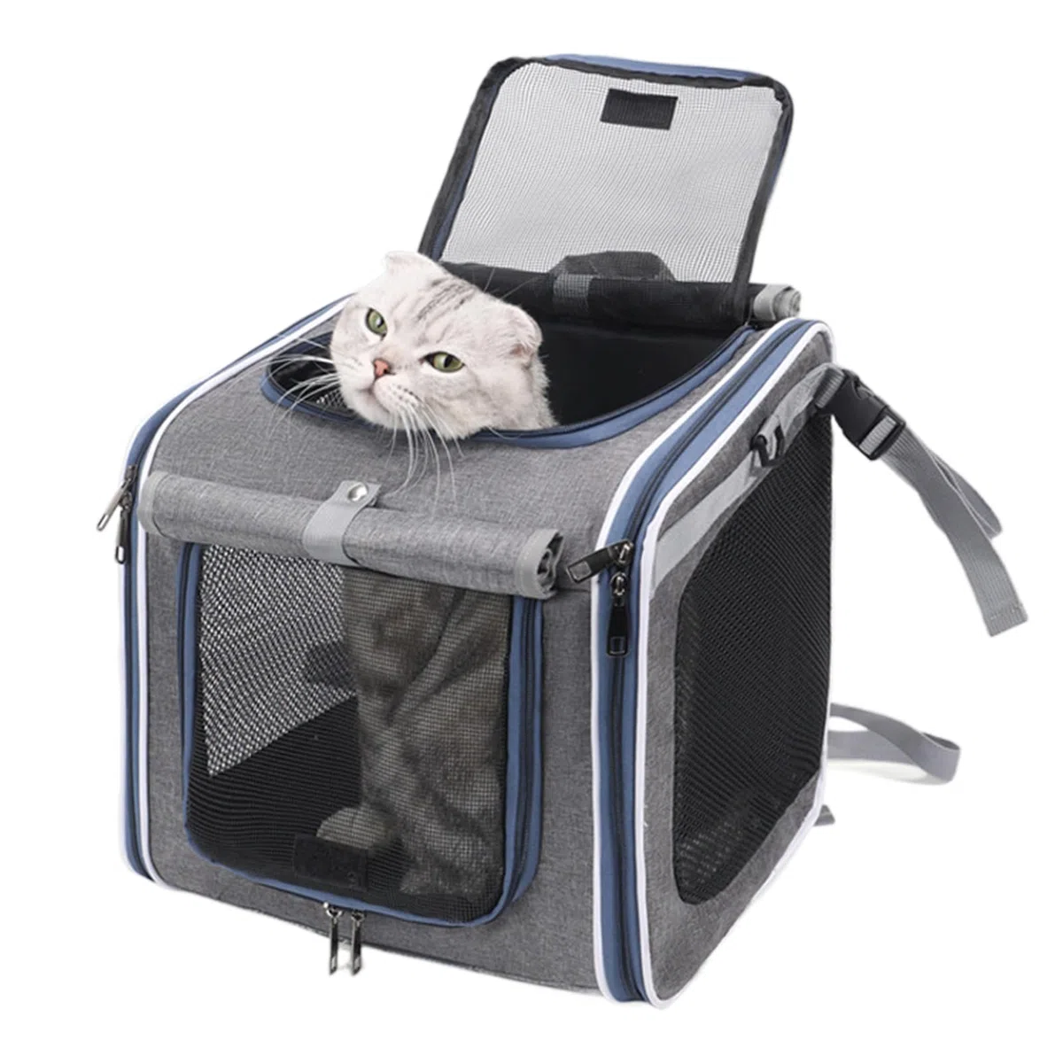 Cesta Para Perro De Bicicleta Portabicicleta Para Mascotas En El Manillar | Mochila Elevadora Para Mascotas En Bicicleta Para Paseos Senderismo Compras Entornos Urbanos Y Naturales Viajes Y