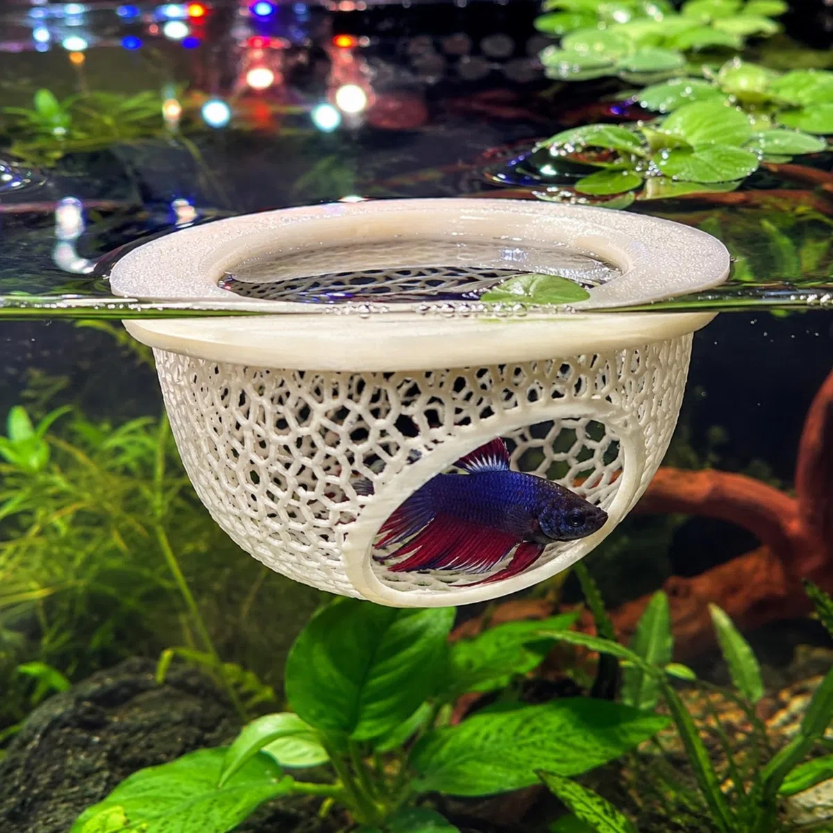 Paquete de 2 hamacas flotantes Betta, cueva escondite Betta impresa en 3D con anillo de alimentación, decoración multifuncional para acuarios, accesorios para peceras, refugio de descanso para peces