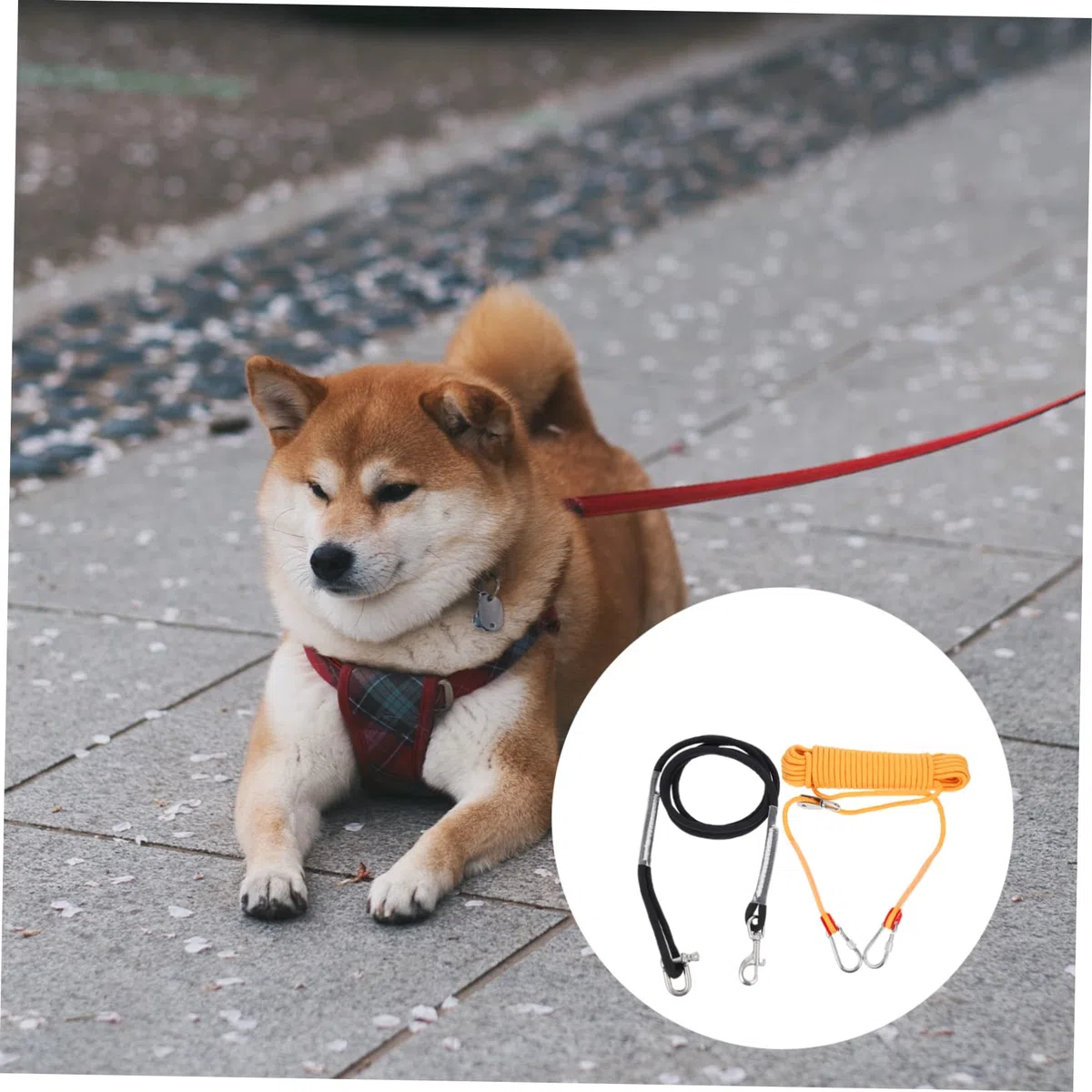 Toddmomy Cadena Resistente para Perros De Camping Cable De Nylon para Pasear Mascotas Equipo De Acampada para Correr Perros Al Aire