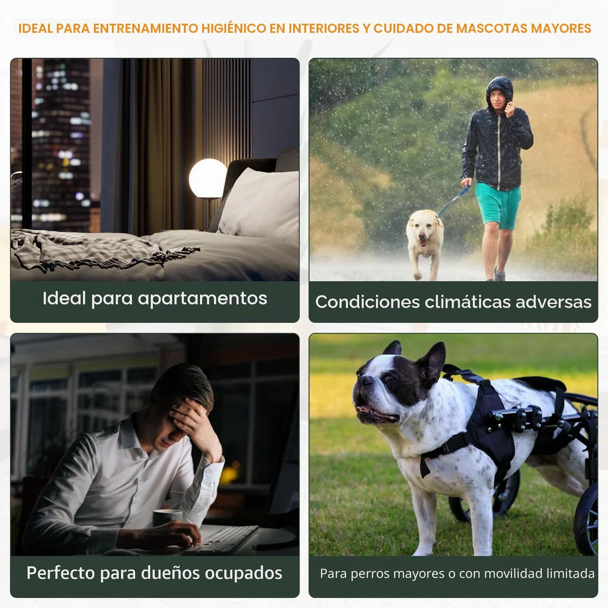 Pawise - Soporte para almohadilla de orina con pared, bandeja para almohadillas de entrenamiento, bandeja de entrenamiento de malla para una fácil limpieza, 60 cm x 60 cm + almohadilla para orina (4