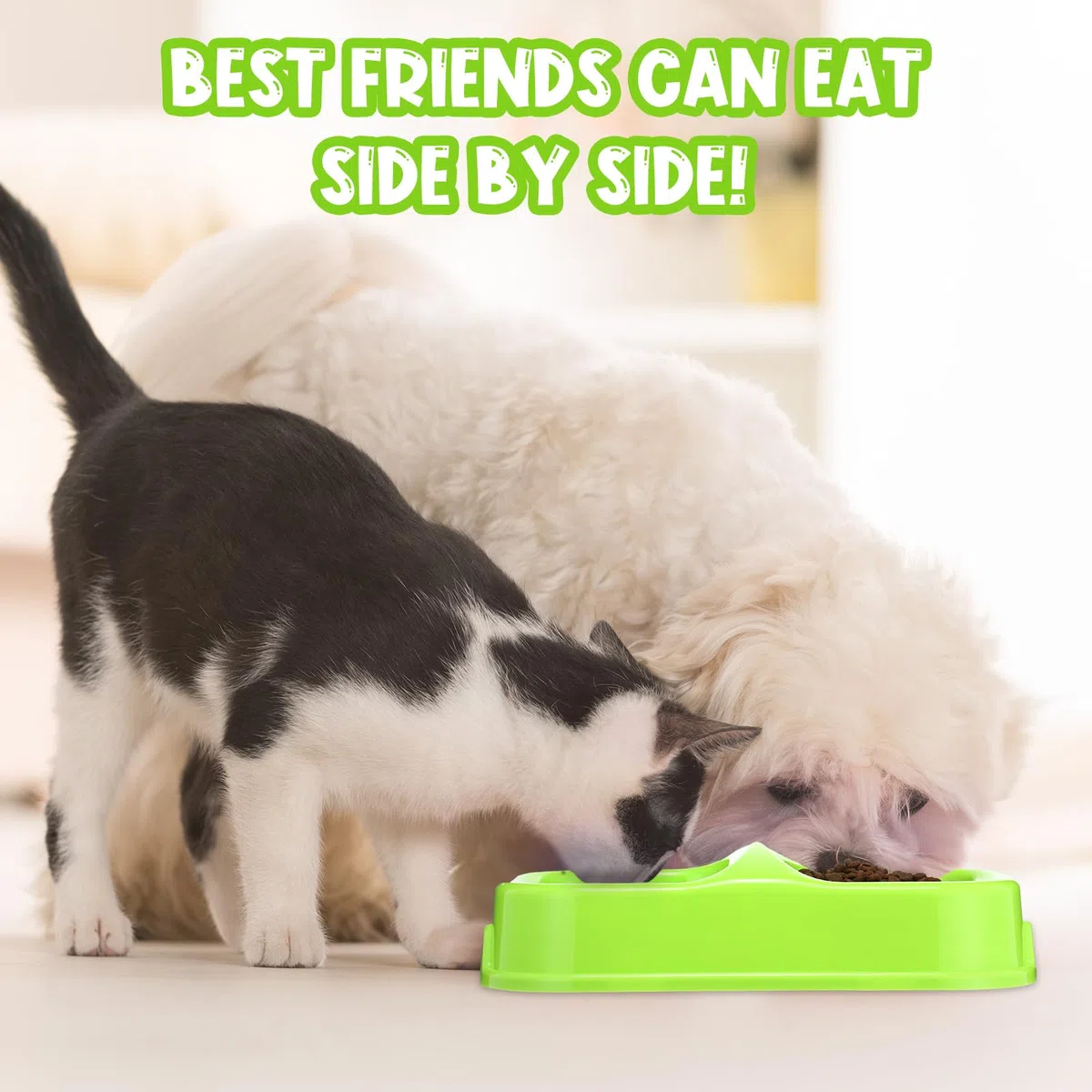 Hsei 12 platos dobles para comida de mascotas, cuenco de plástico para gatos, platos para perros, cuencos dobles para perros pequeños y medianos, gatos y cachorros, 3 colores surtidos
