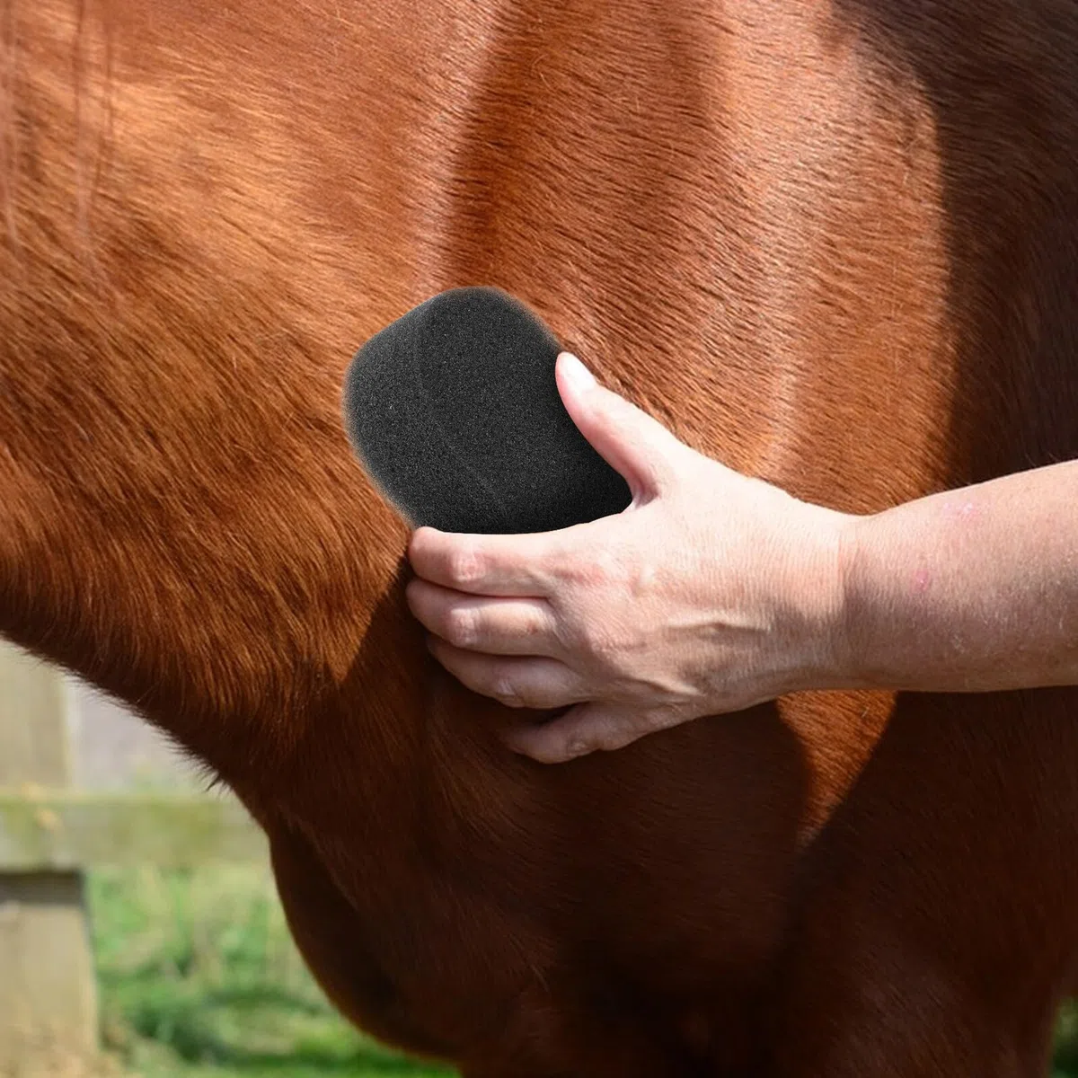 ibasenice 5 Esponjas Negras para Limpieza y Cuidado del Caballo Esponjas Suaves que No Dañan el Tejido Paquete de 5 Unidades para Uso Después de Paseos Recreativos
