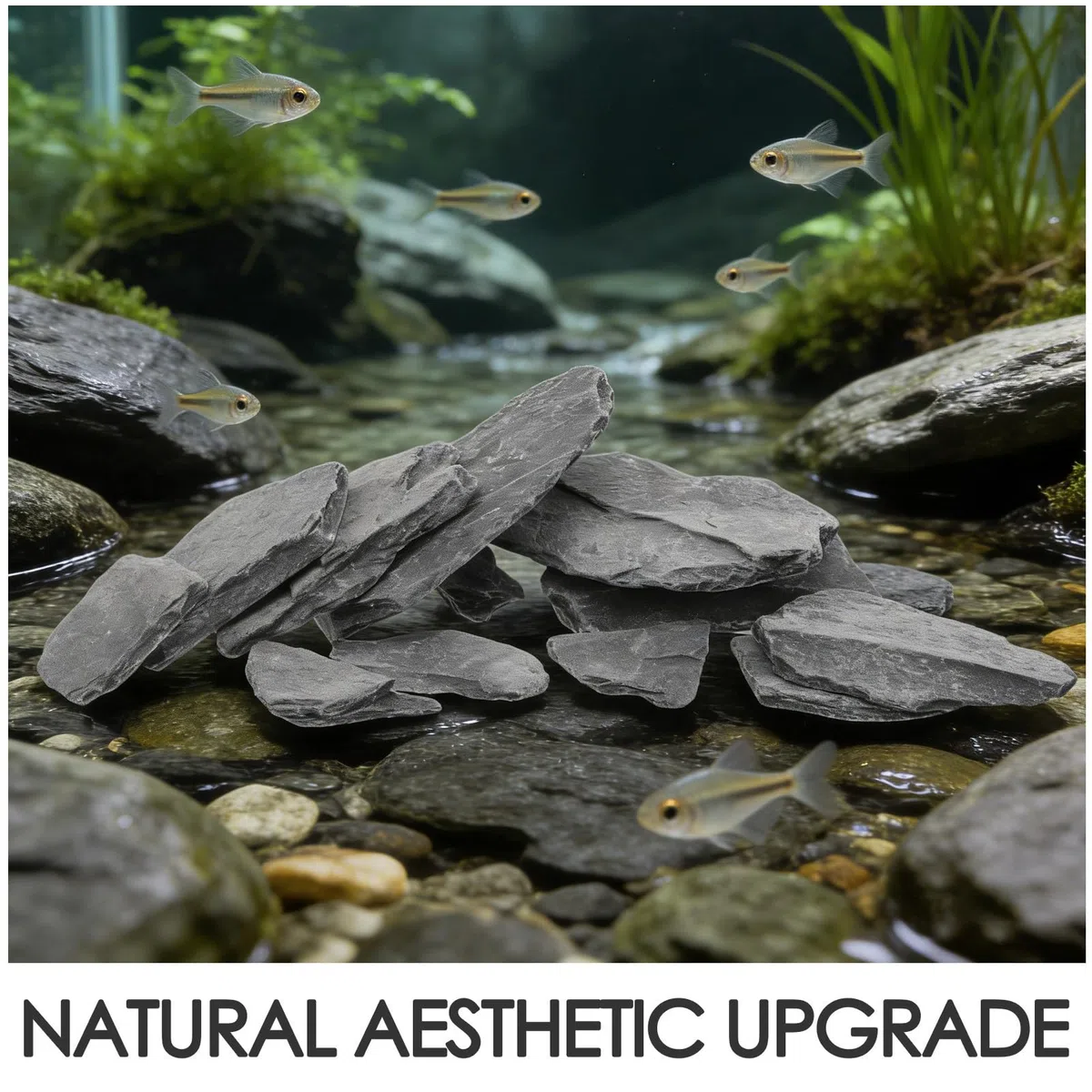 Piedras Naturales Que Fomenta la Exploración para Acuario en Forma de Losa Diseño Aleatorio, Roca Versátil para Peces y Tortugas en Oficina o Acuario