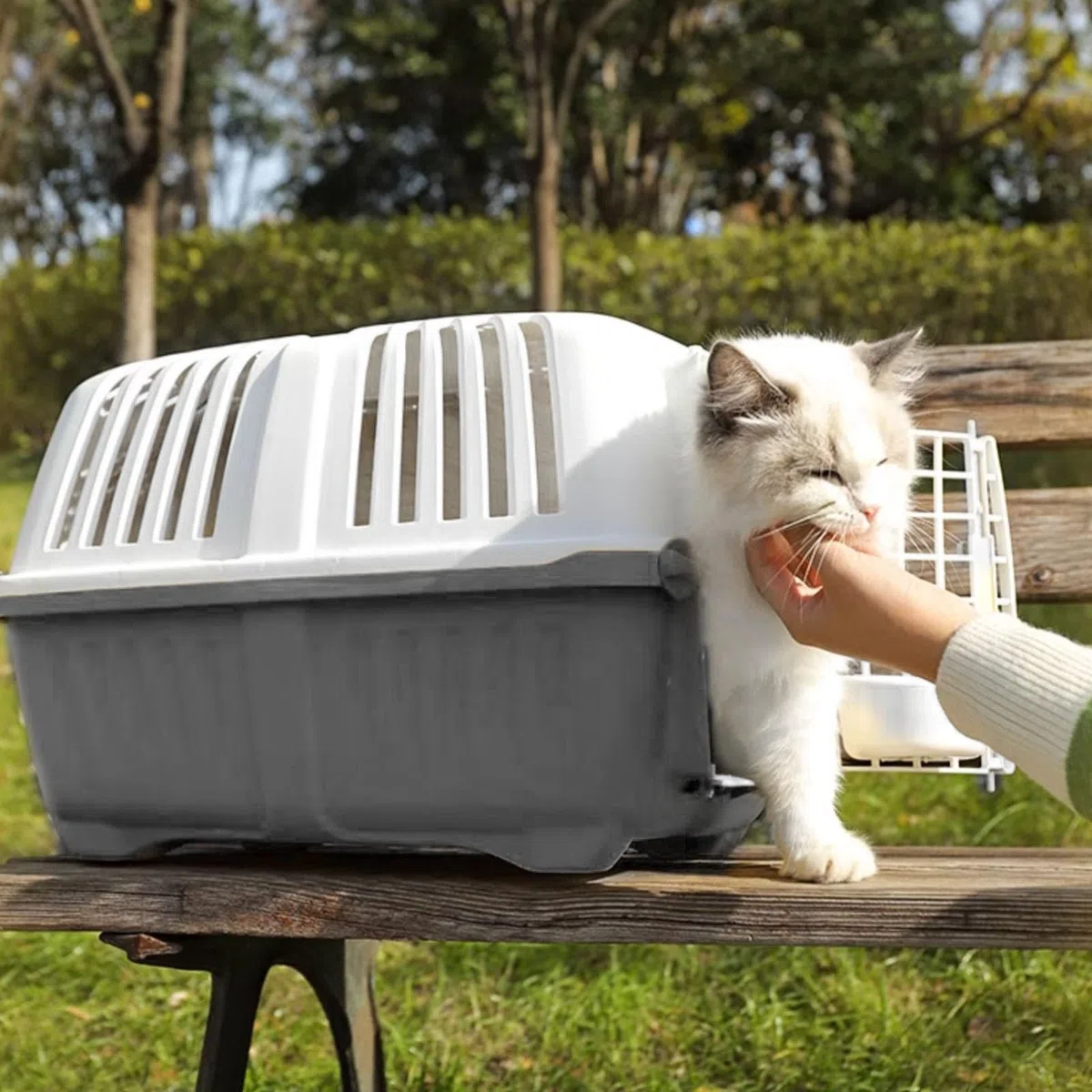 Transportín para Gatos para Mascotas, cómoda y Transpirable, portátil, para Viajes, para Gatos, Perros, Conejos, Viajes en avión, Camping al Aire Libre, PP, Hierro, Ligero,