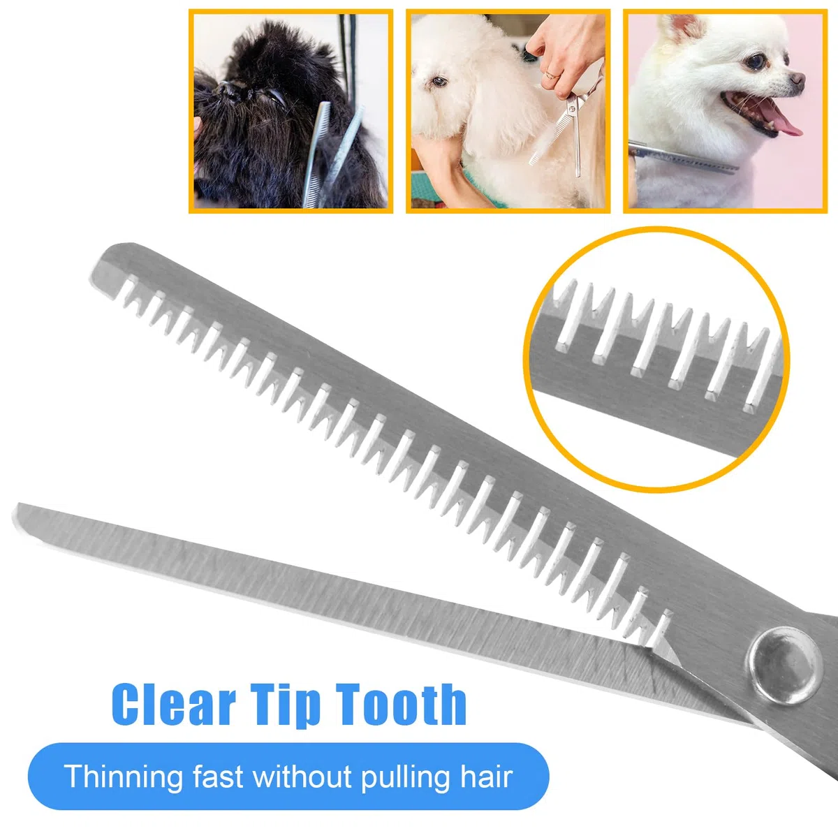 El mejor kit de cepillo de aseo para perros