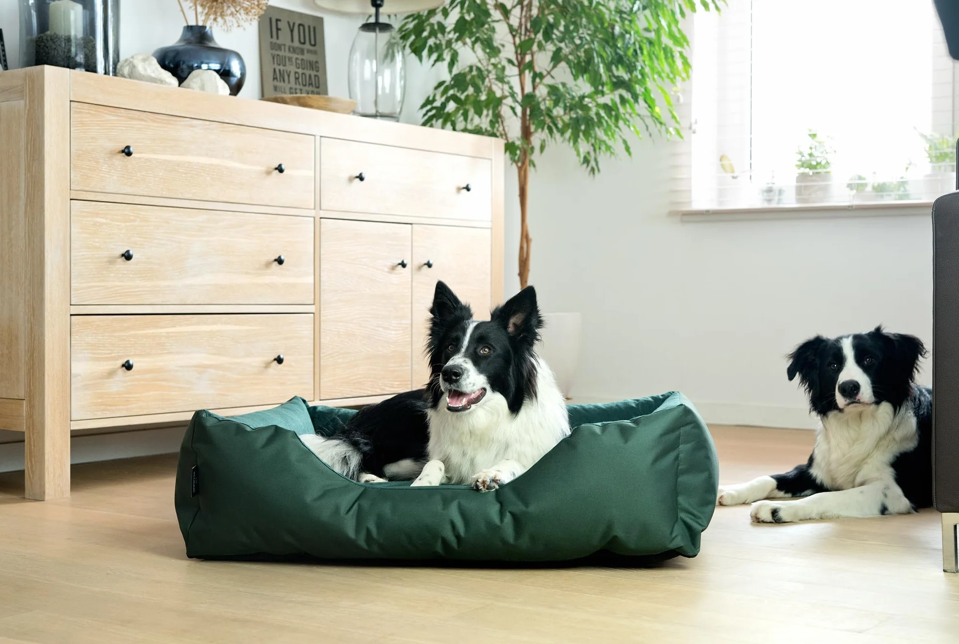 BedDog Zara - Cama para Perros con Funda extraíble y Lavable, sofá para Perros medianos XL