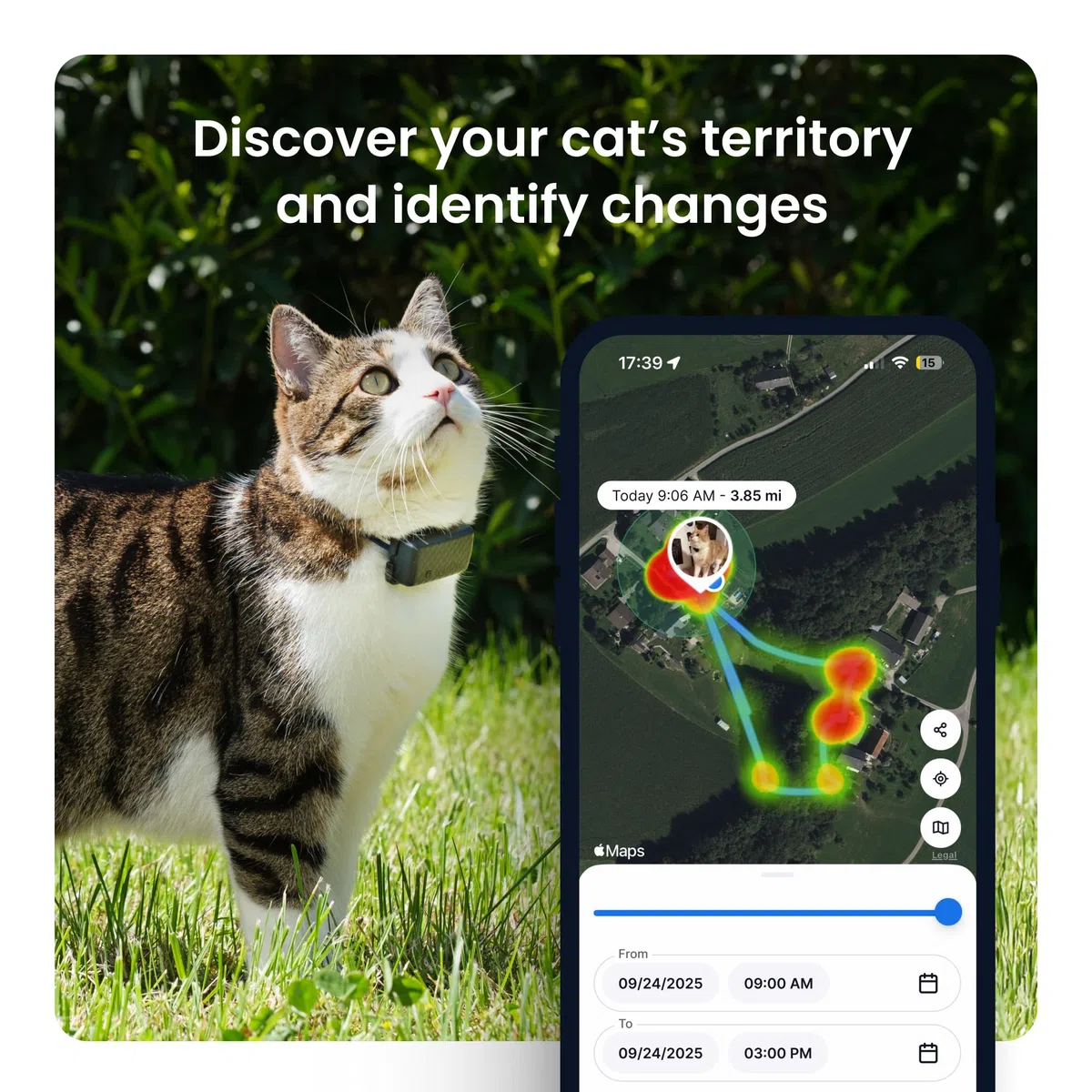 Tractive Rastreador GPS y monitoreo de salud para gatos (6.5 libras +) – Rastreador de ubicación GPS para mascotas líder en el mercado | Alertas de bienestar y escape | Impermeable | Funciona con