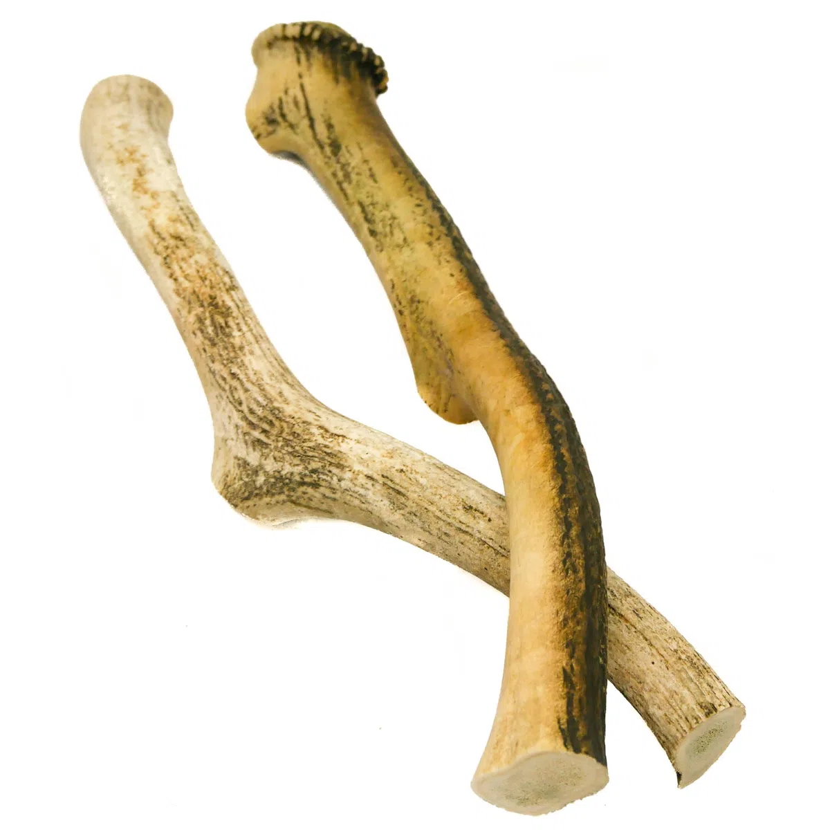RF-Deer Asta de Ciervo Natural, Decoración Única, Juguete para Perros, Juguete de Masticar, Seguro para Perros, La Subasta Incluye la Venta de 1 kg (40-50 cm, 1-3 Piezas)