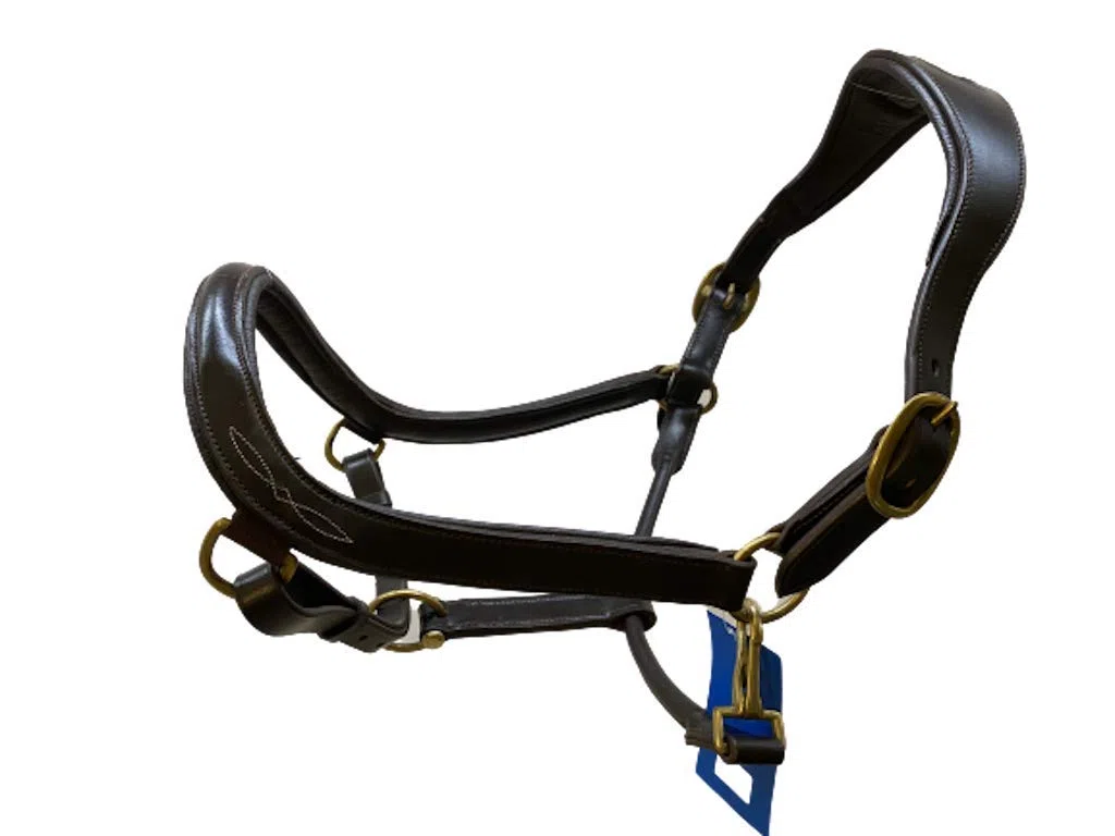 PFIFF 102701 Arco - Cabestro de piel, color negro