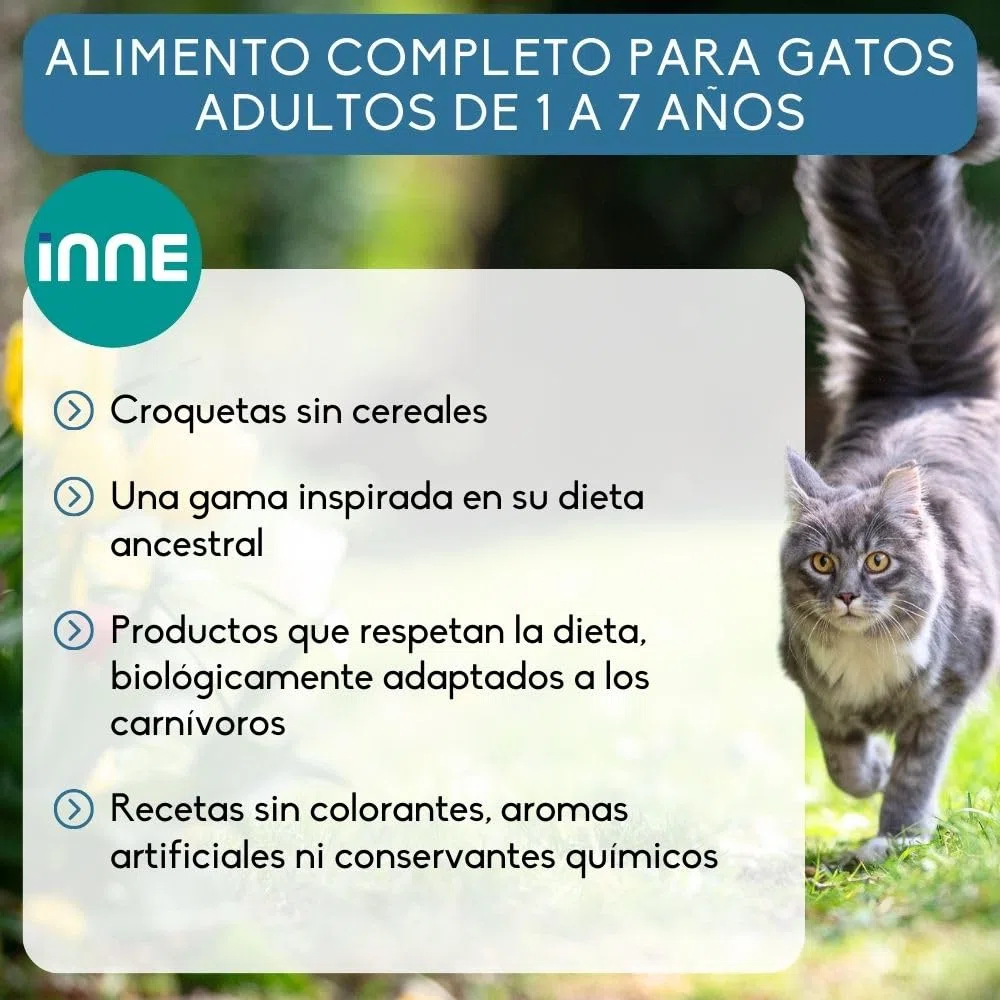 NUTRIVET - INNE Chat - Croquetas sin Cereales - Gato Adulto - Pescado - 80% Ingredientes de Origen Animal - 6kg