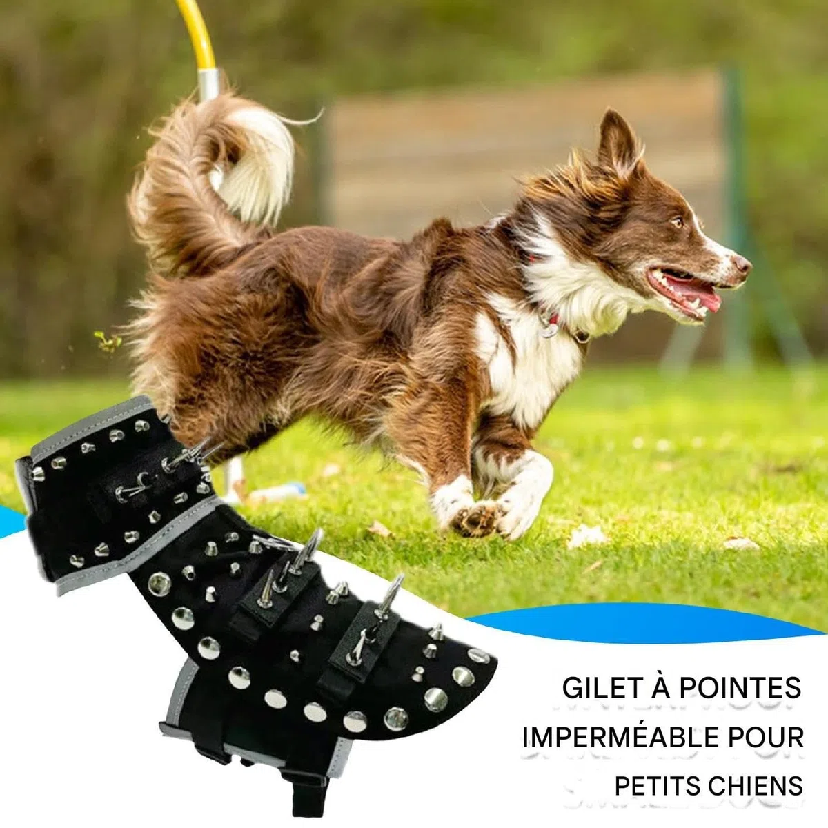 Chaleco con Púas para Perro Ajustable Reflectante Perro Pequeño Mediano