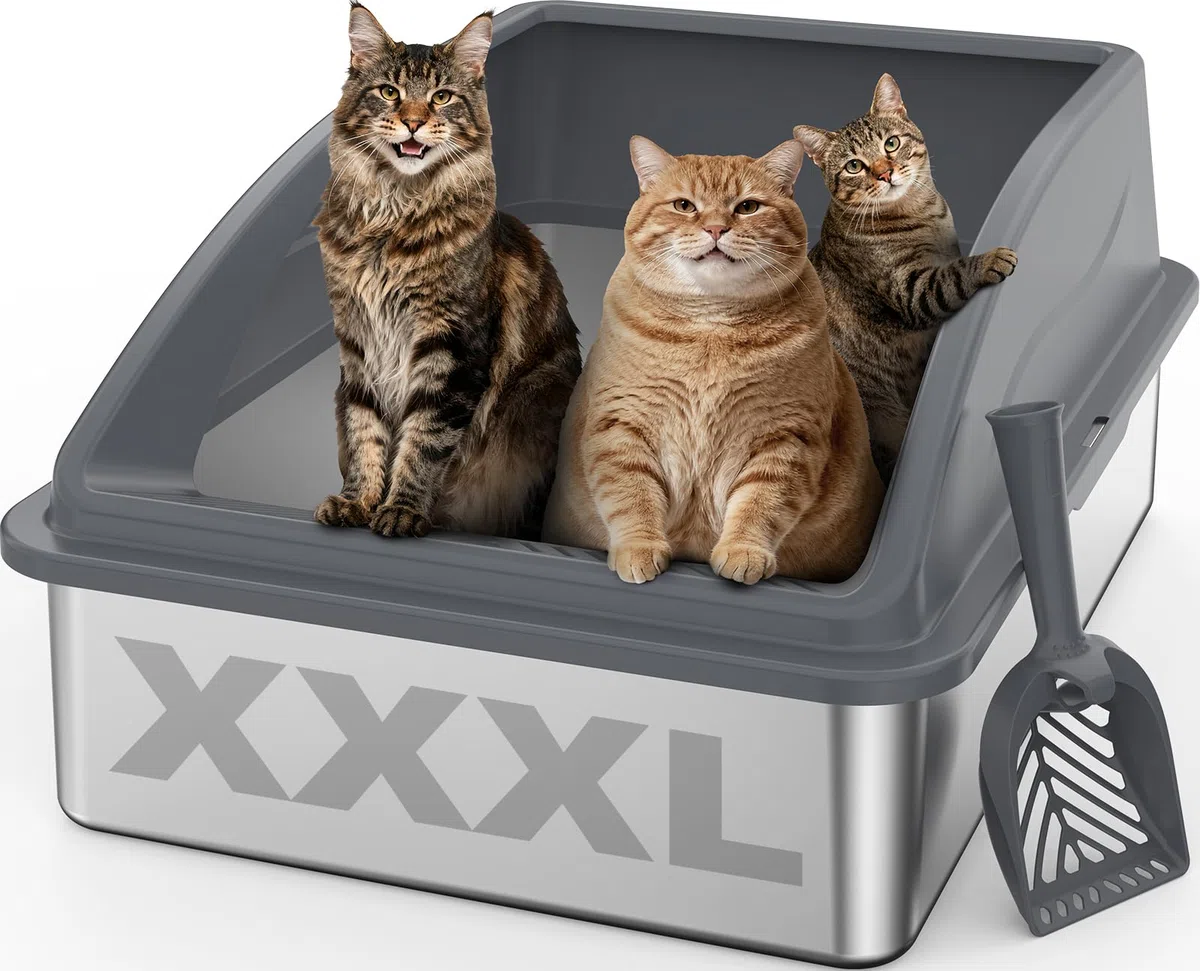 FURTIME Arenero Gato Acero Inoxidable XXXL, Caja Arena para Gatos Muy Grande 71x51x31 cm, WC Gatos con Borde Alto Desmontable, Fácil de Limpiar, Ideal para Hogares con Múltiples Gatos y Razas Grandes