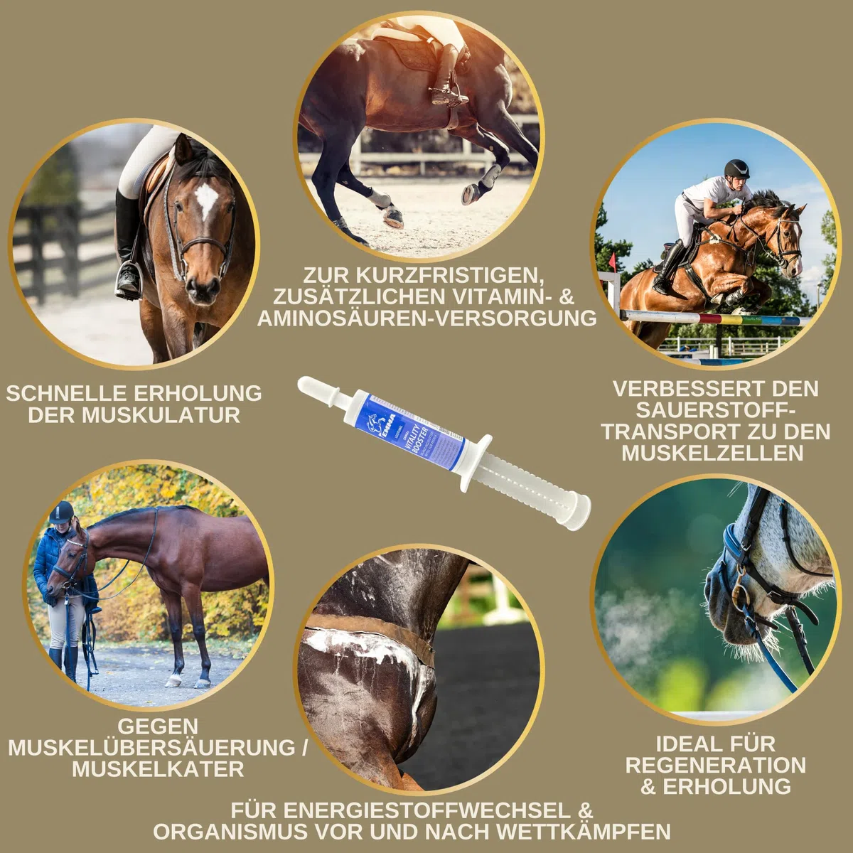 Pasta vitamínica para Caballos Aminoácidos Caballo Amino Vitamina E Levadura de Cerveza Energía Alimento reconstituyente para músculos doloridos Regeneración Rendimiento Muscular Musculación 3 * 30ml