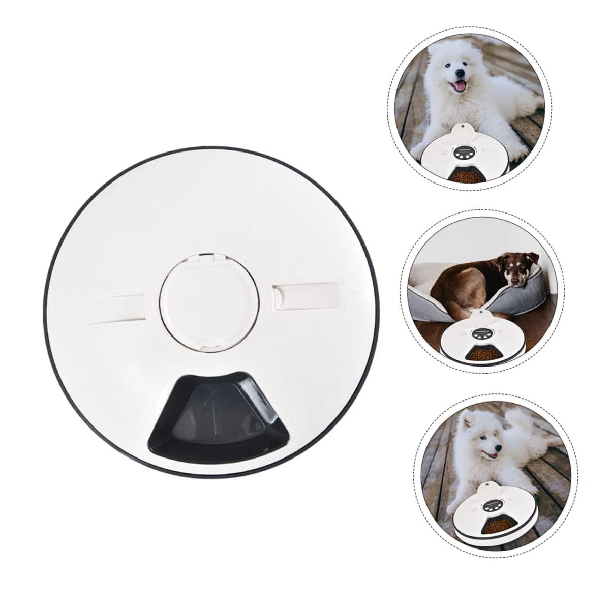 Alimentador Automático Temporizado para Mascotas de 90g Negro Abs | Dispensador de Comida para Perros, Diseño Desmontable y Almohadilla Antideslizante, para Colocar Esquina