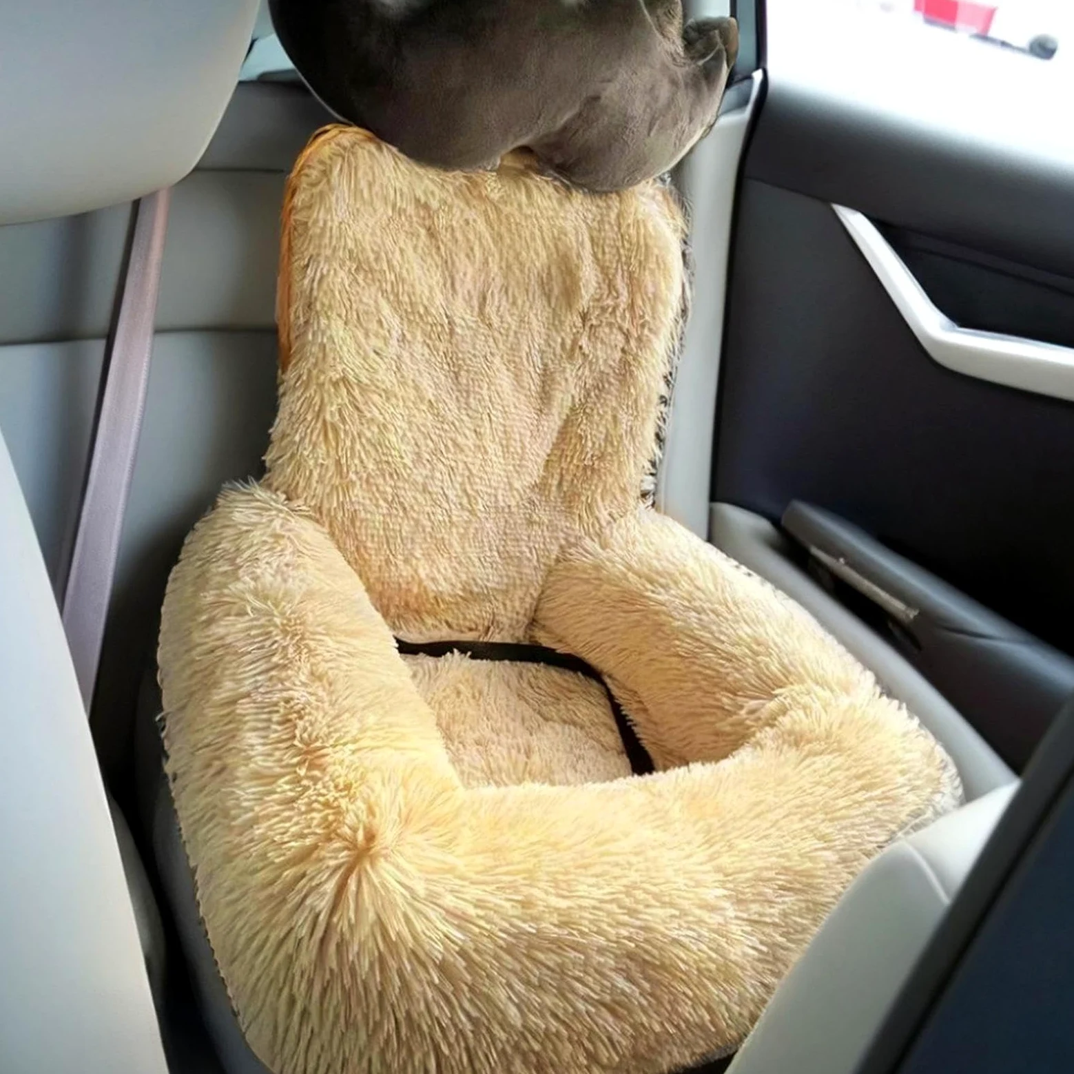 Asiento de coche para , cojín de asiento de coche de felpa para cachorros, cojín de cama de mascotas antideslizante para viajes, camping, senderismo, desplazamientos diarios