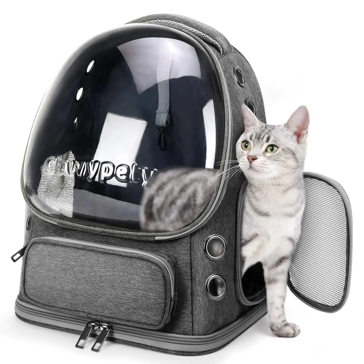 Cawypety Mochila transportadora para gatos, transpirable, con burbujas de espacio grande, para gatitos, perros pequeños de hasta 12 libras, transparente y plegable para viajes, senderismo