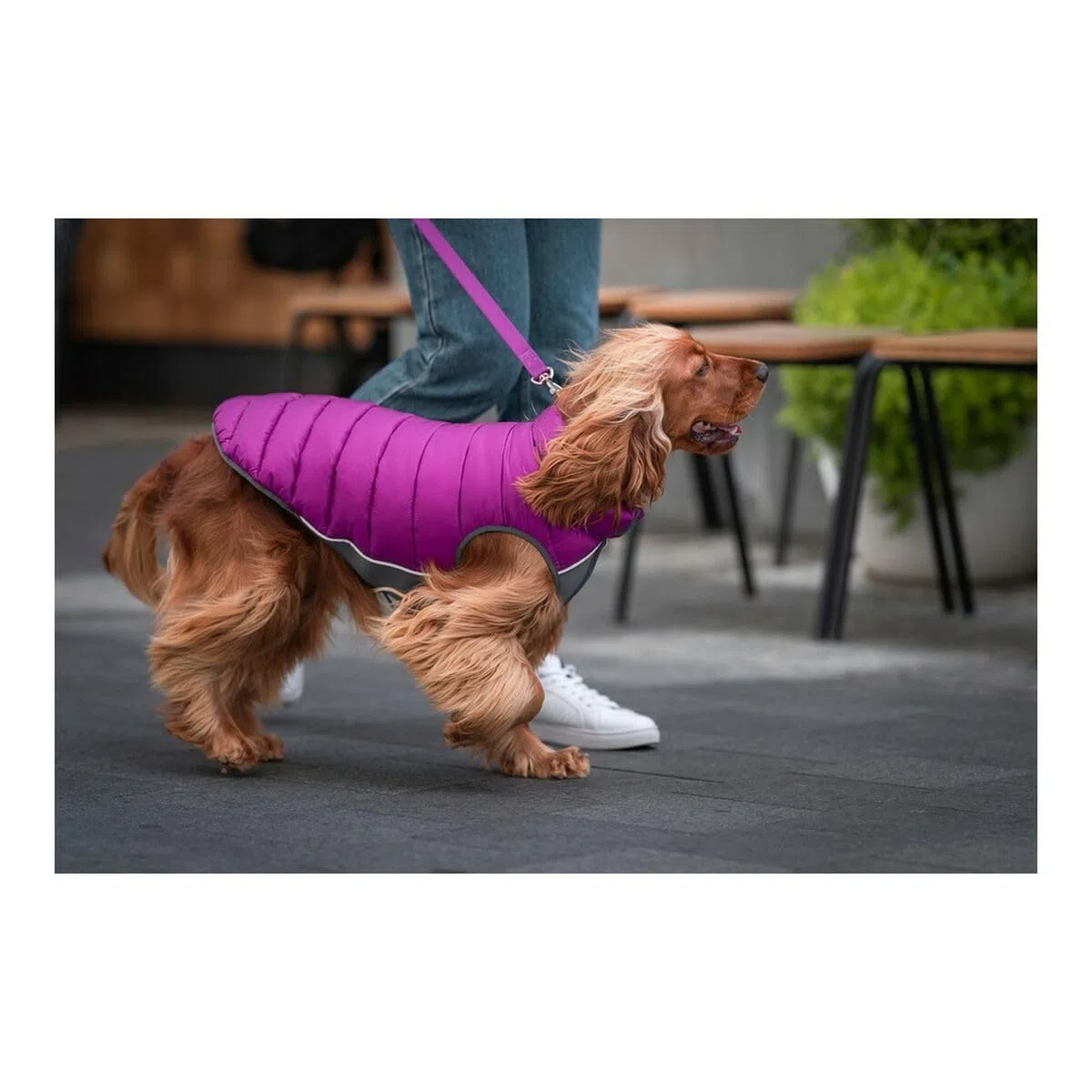 RED DINGO Abrigos y Chaquetas para Perros Abrigo Reversible Puffer Jachet