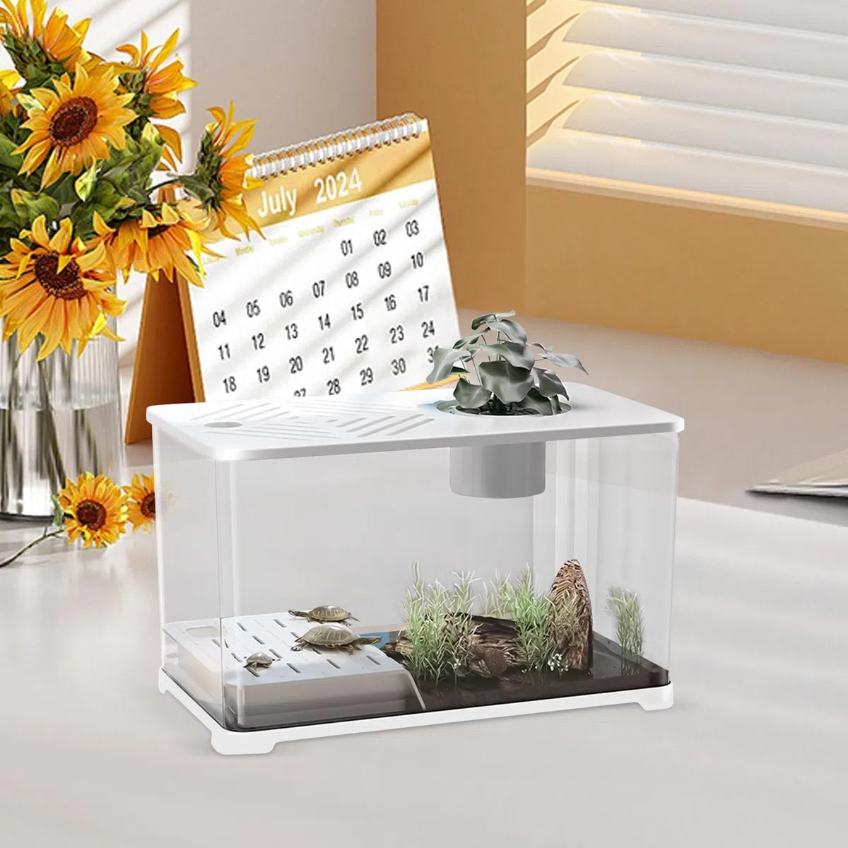 Pecera Gran Kit Acuario Pecera Escritorio