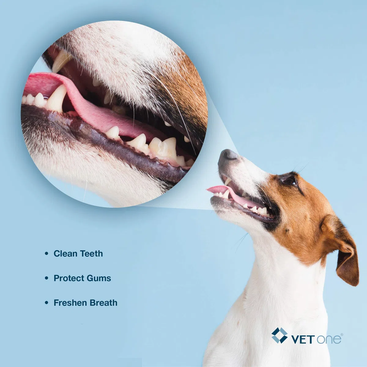 VetOne DuoClenz EnzymeCoated Masticables dentales medianos (30 Unidades)