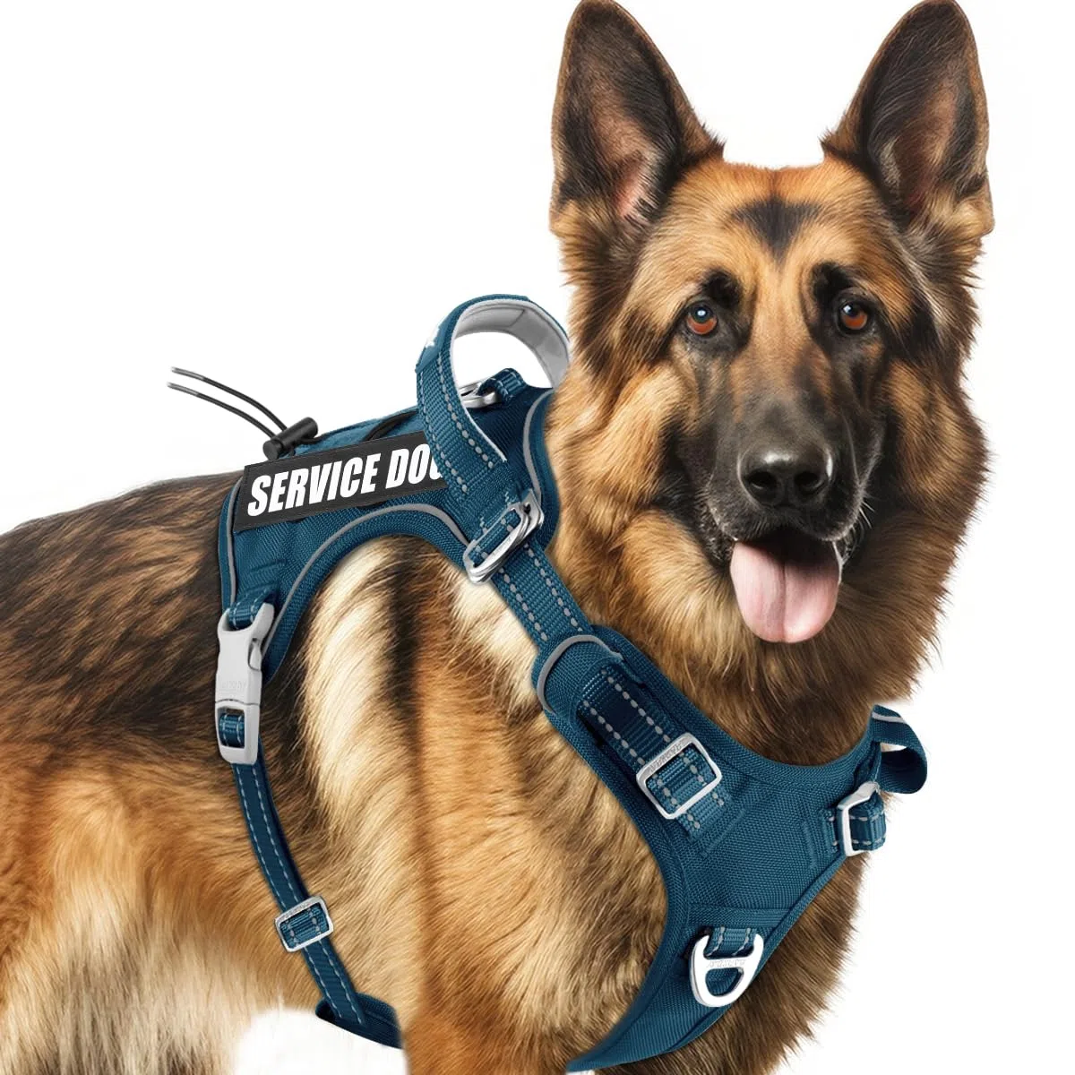 BARKBAY Chaleco táctico para perro de servicio, arnés táctico para perro, tamaño mediano y grande + etiquetas para perro, arnés ajustable sin tirones, reflectante, entrenamiento, fácil control,
