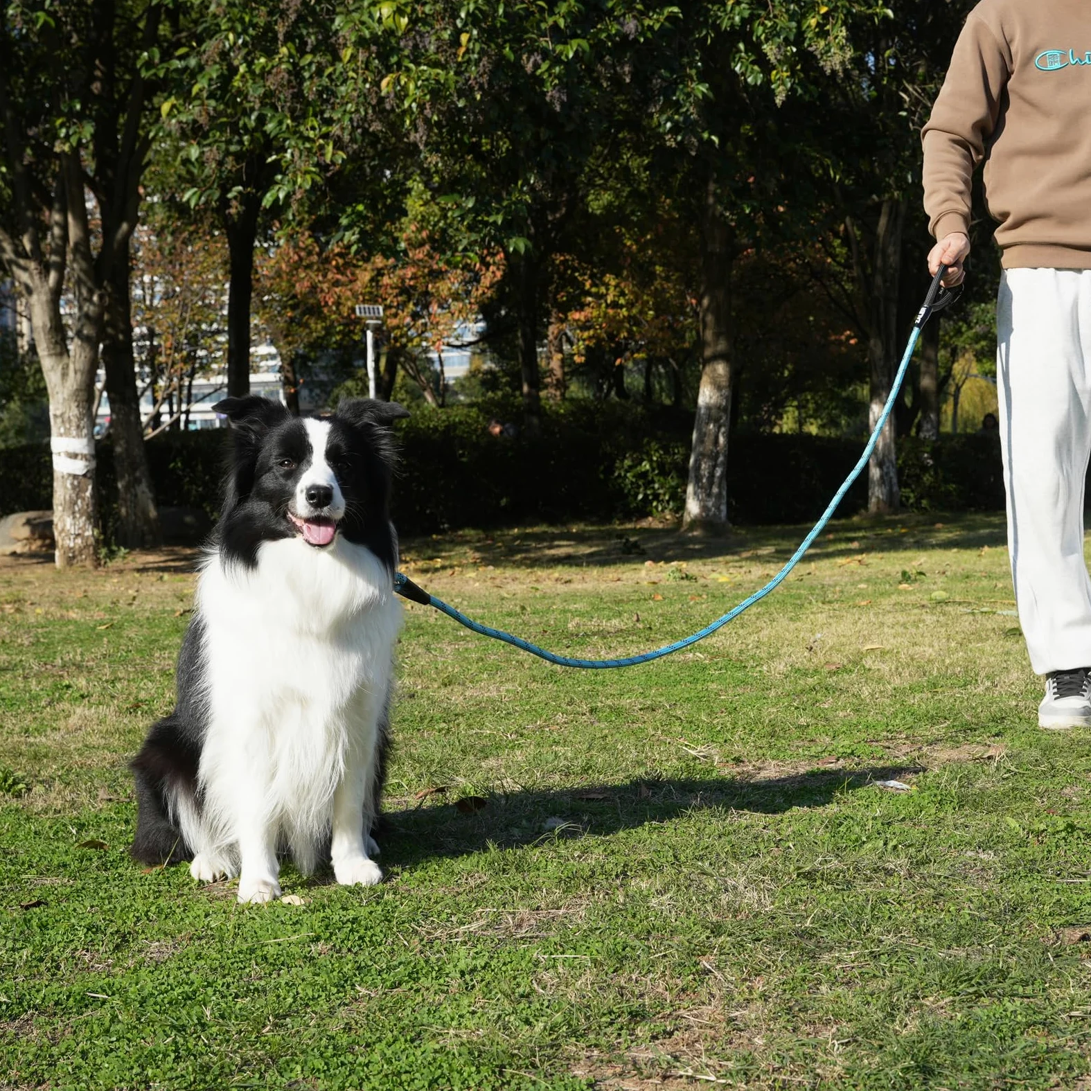 Zaler Correa resistente para perro con mosquetón, correa de nailon para mascotas para perros grandes y medianos (6 pies, azul verde)