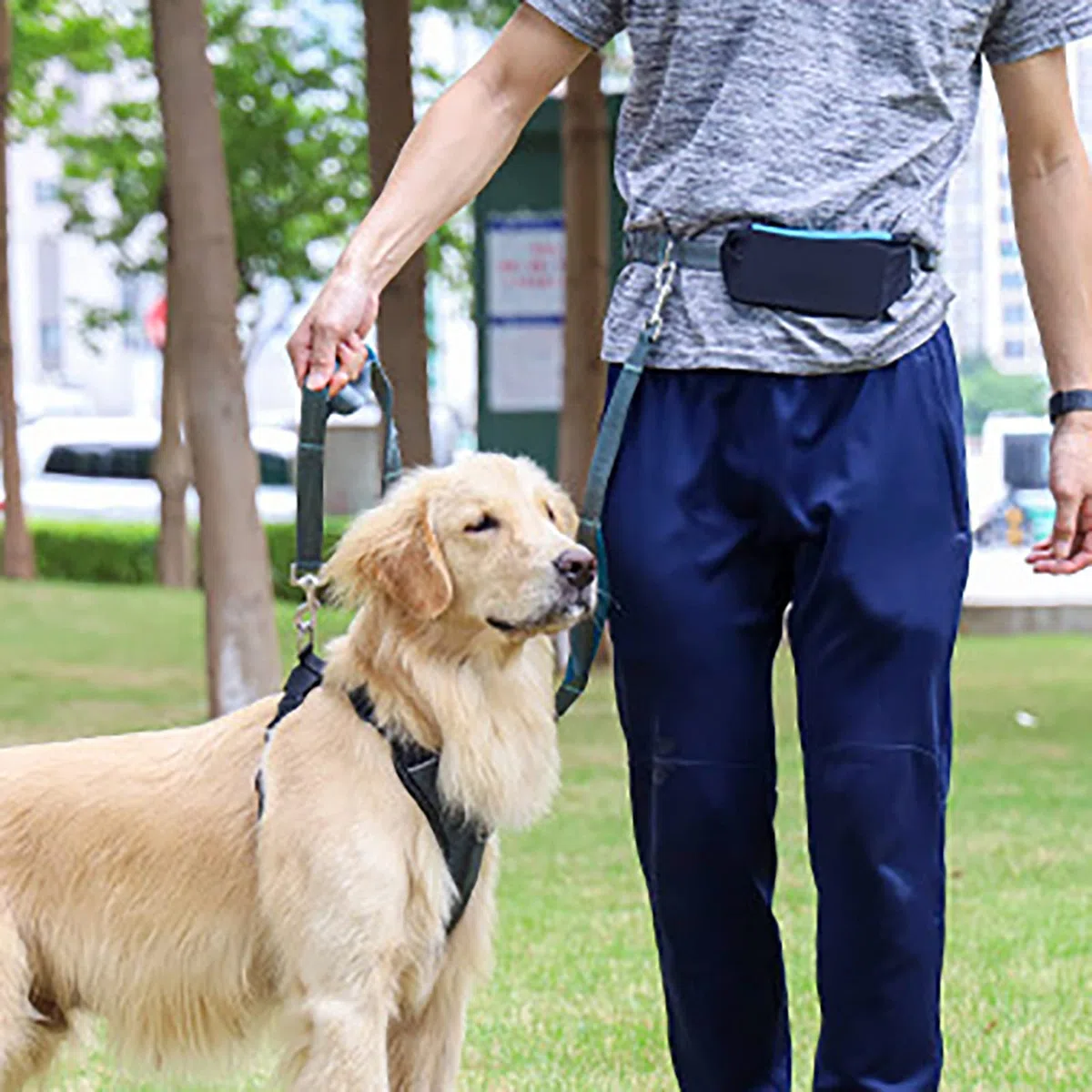 Correa de perro de cuerda resistente de nailon para mascotas, correa de plomo gruesa para perros grandes, medianos y cachorros pequeños para entrenamiento de control, correa de perro de mascotas,