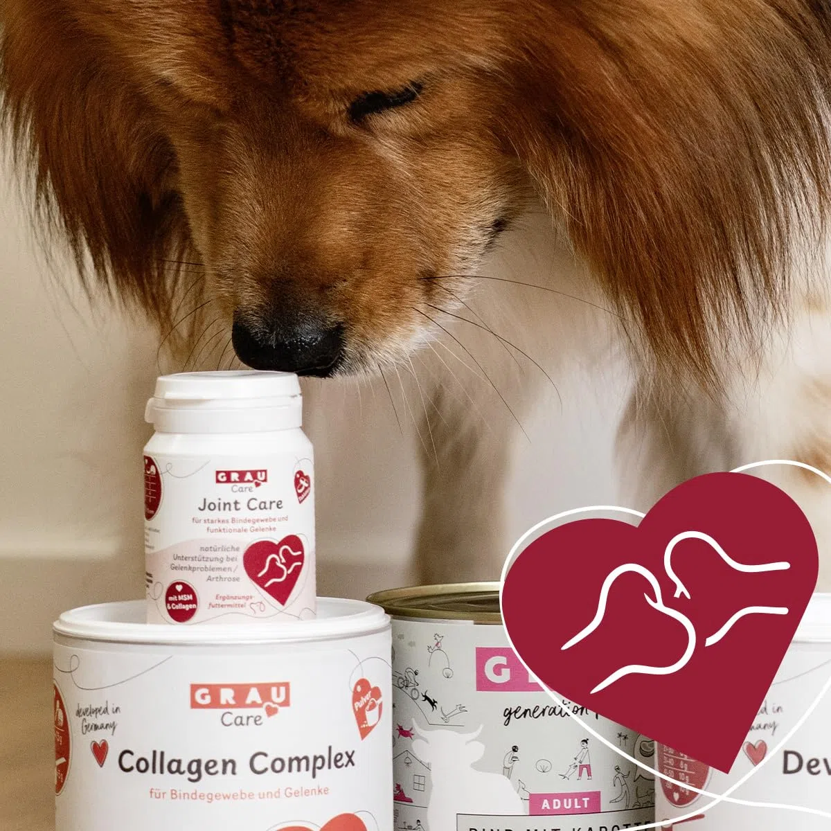GRAU - Joint Care Aprox. 185 uds., alimento complementario para Perros