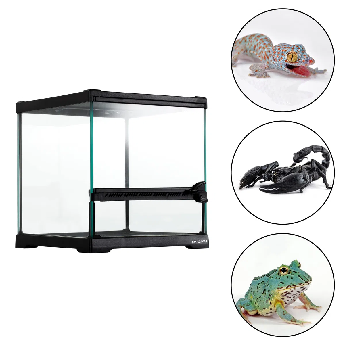ReptiZoo Terrarium 1 Puerta 21 x 21 x 20 cm