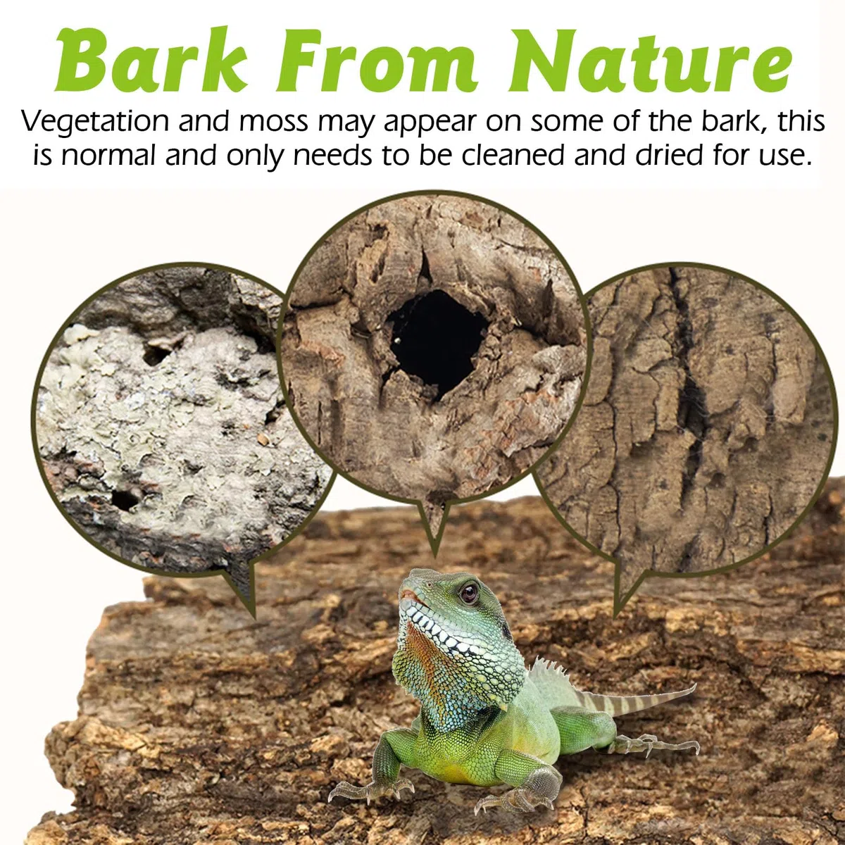 Corteza de corcho para reptiles a granel de 2 libras de madera de corcho para terrario, sustrato de terrario de corcho plano natural para dragón barbudo, serpiente, arañas, cangrejos ermitaños,