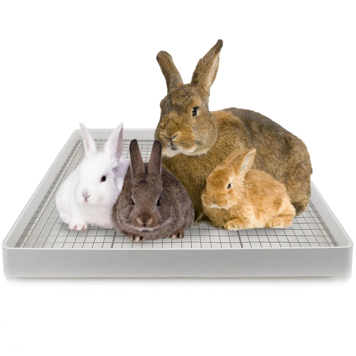 Oncpcare Caja de Arena para Conejo súper Grande de 22 x 18 Pulgadas con 2 Rejillas (Metal y plástico), Bandeja de Arena para Conejos, pequeños Animales para Adultos, Conejo Gigante Flamenco