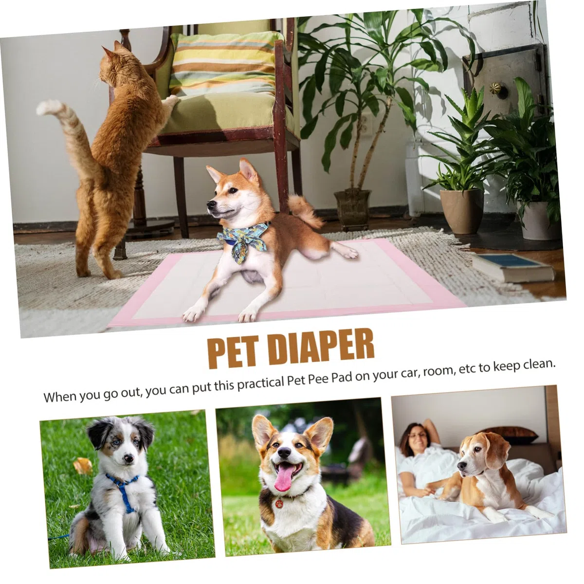 INOOMP 1paquete Empapadores para Perros Almohadillas Higiénicas Absorbentes Diseño Especial para Entrenamiento De Mascotas y Uso Interiores