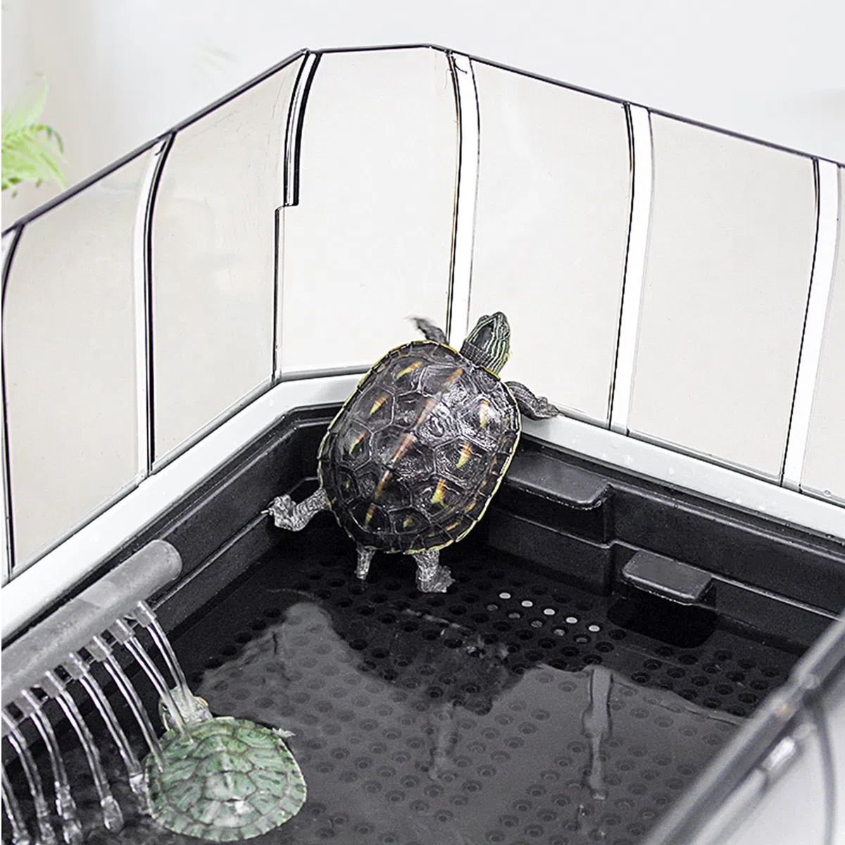 Acuario de tortugas con plataforma y plantas, fácil cambio de agua y limpieza, kit de hábitat duradero para reptiles