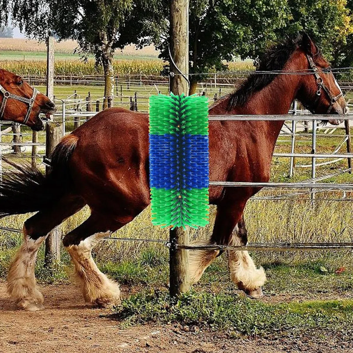 Cepillo para rascar caballos,Cepillo de masaje para rascar ganado | Cepillo de limpieza para arañazos de animales de granja de doble tornillo para o