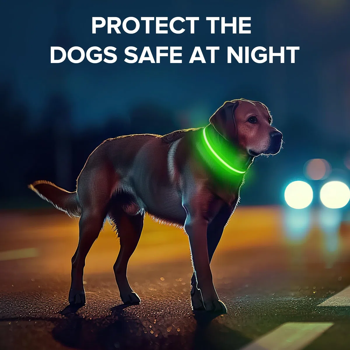 Collar de perro iluminado para caminar por la noche, collar de perro con luz LED recargable USB-C, brilla en la oscuridad, collar brillante impermeable, ajustable con 3 modos para perros