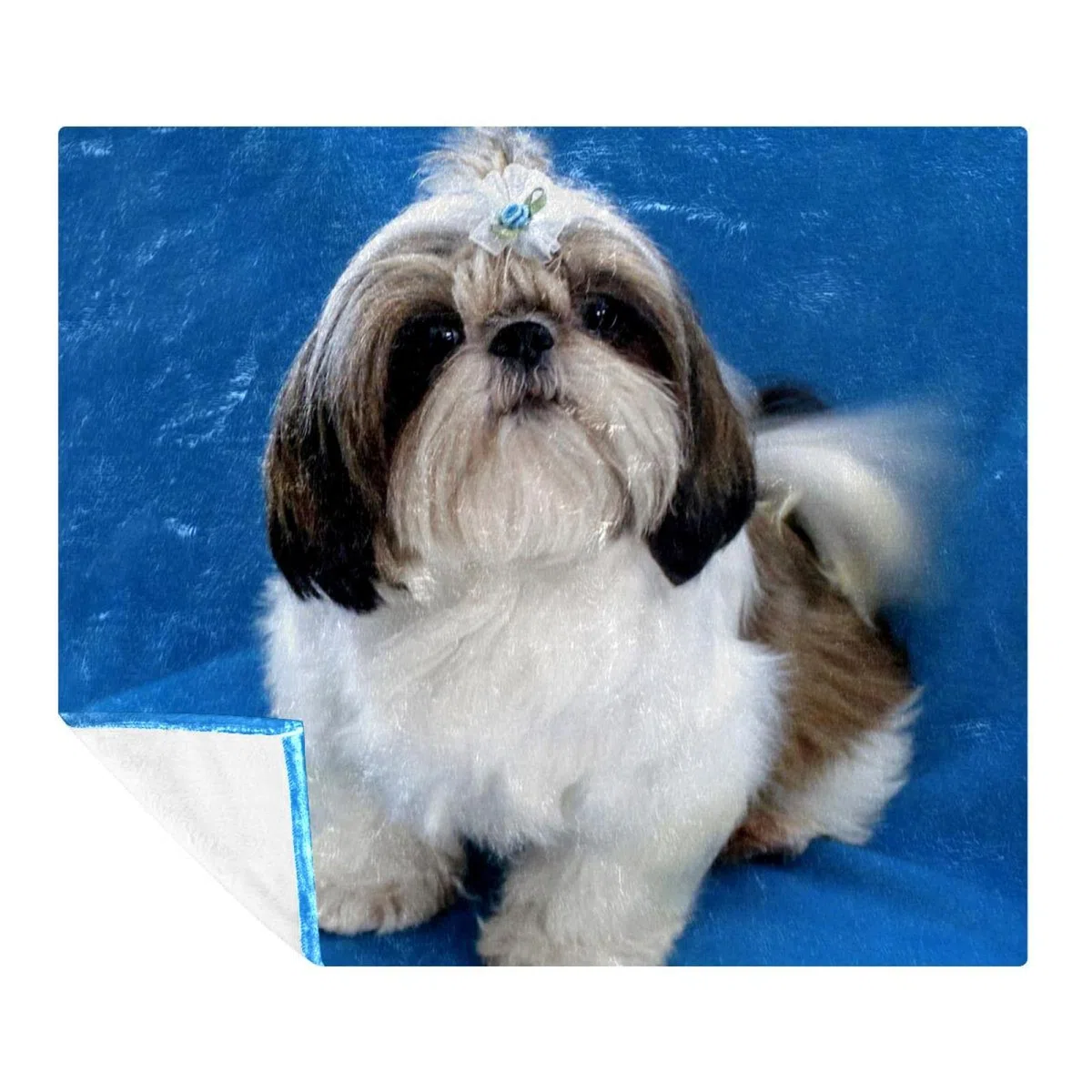 Manta de forro polar, súper suave, lujosa manta de cama Shih Tzu perro cachorro