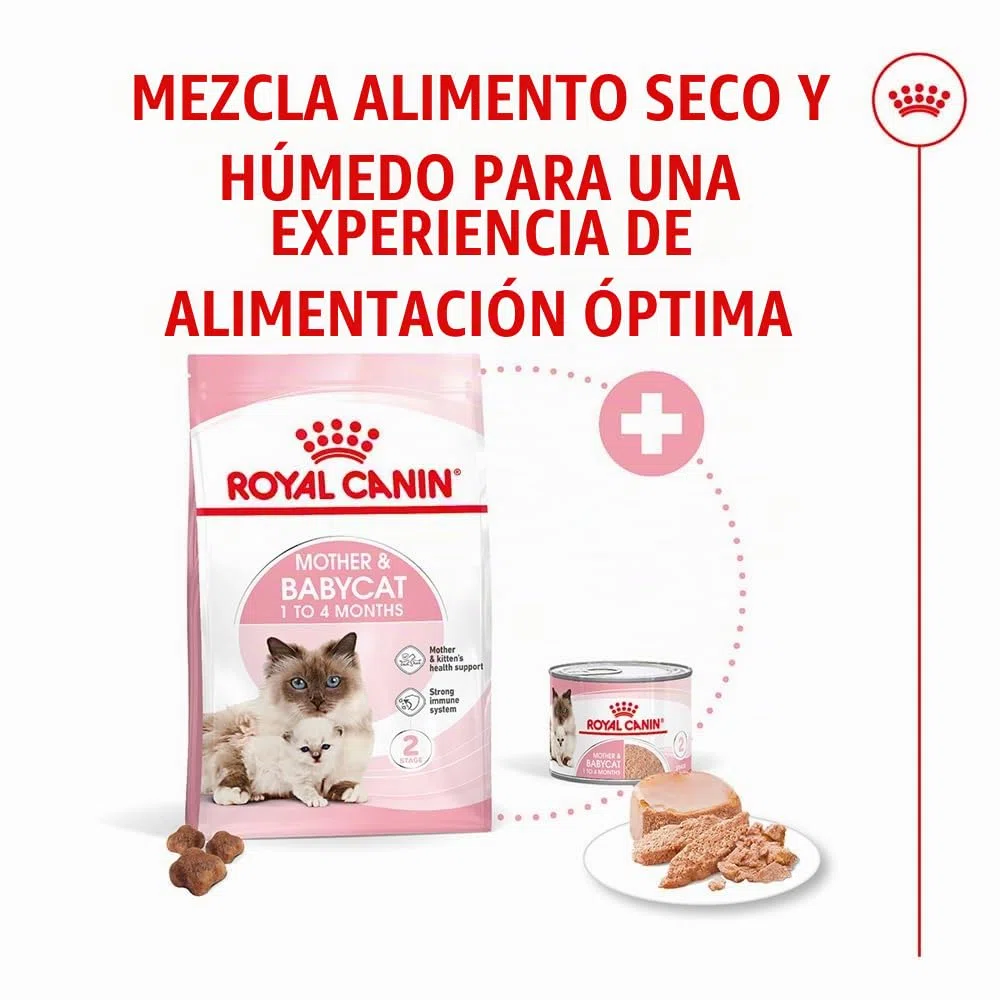 Royal Canin Mother & Babycat Mousse | 12 x 195 g | Alimento Completo para Gatos | Especialmente para la Gata Madre y Sus Gatitos | para apoyar Las defensas Naturales