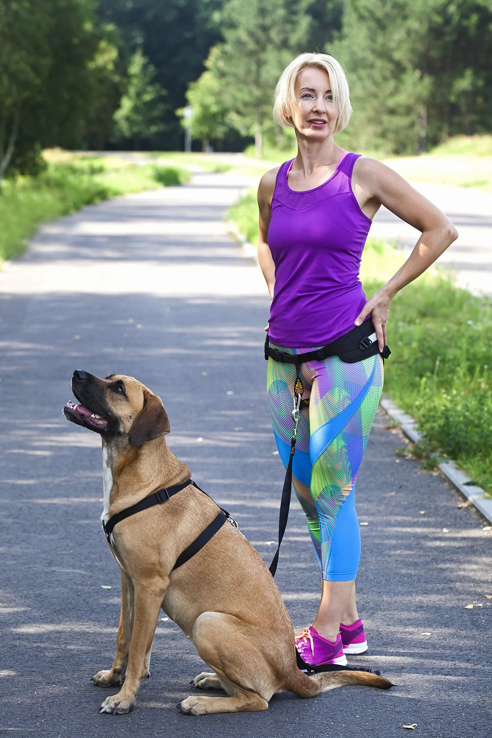 Dingo Canicross Cinturón 4 en 1 Universal, Ajustable, Seguro, Reflectante, Multifuncional, Cinturón de Paseo para Perros Manos Libres para Correr, Hacer Deporte, Trotar, Entrenar, Negro