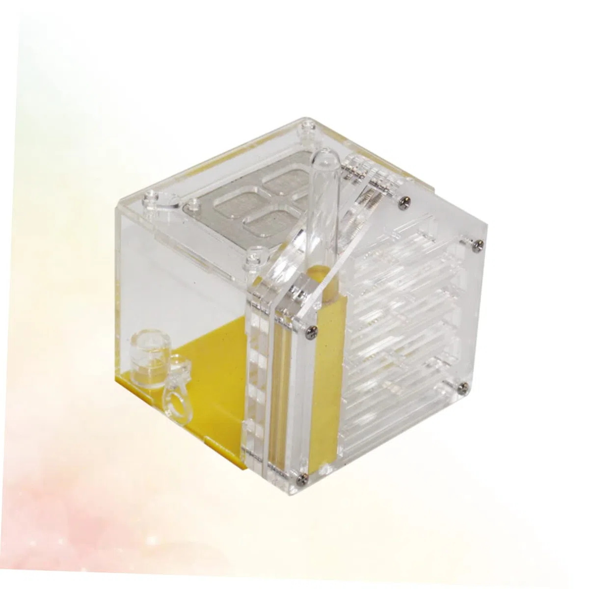 TOYANDONA Juguete Nido de Hormigas Regalo hábitat Granja de Hormigas Transparente Acrílico terrario
