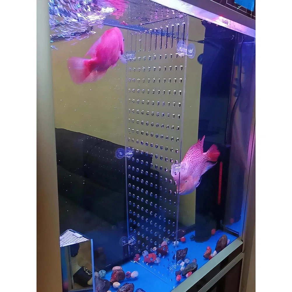 Divisor de Acuario acrílico | Partición clara de aislamiento de peceras de varios tamaños(35x60cm)