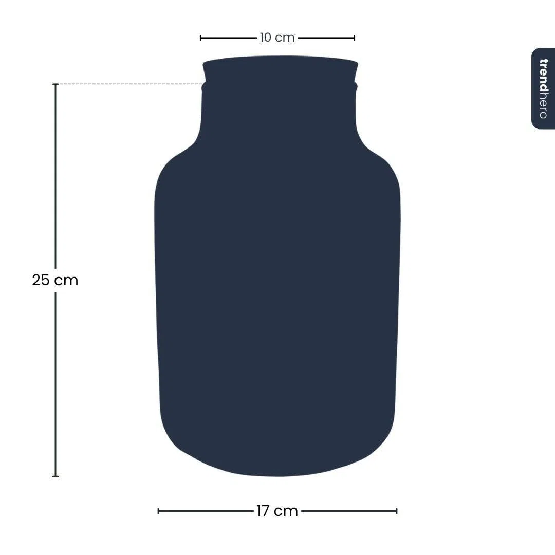 Terrario botella de cristal cerrada con corcho e iluminación LED – Altura 24,5 cm Ø17 cm – Terrario decorativo para plantas de vidrio reciclado