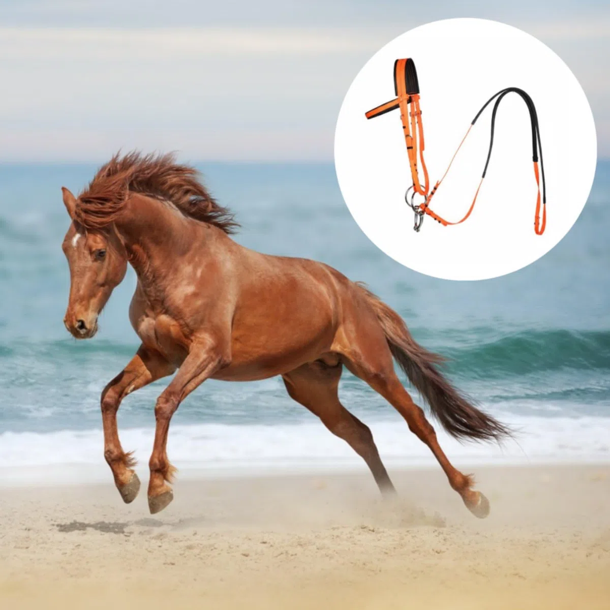 Brida para Caballo Resistente Equipo Ecuestre Cabezada Ajustable y Antideslizantes de PVC Adecuado para Entrenamiento Competición y, Negro
