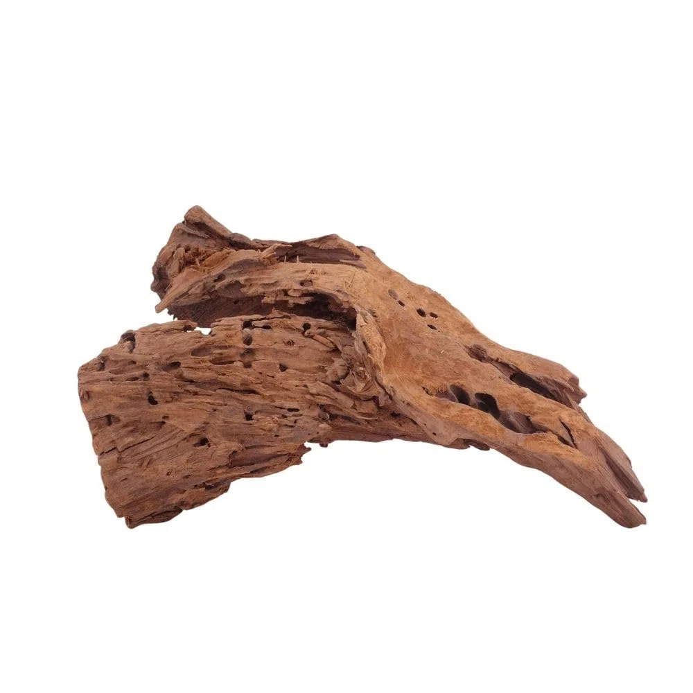 AquaOne Acuario de raíz decorativa L de manglar, madera auténtica, nº 4007, decoración de madera, plantas acuáticas, paisaje, musgo, naturaleza