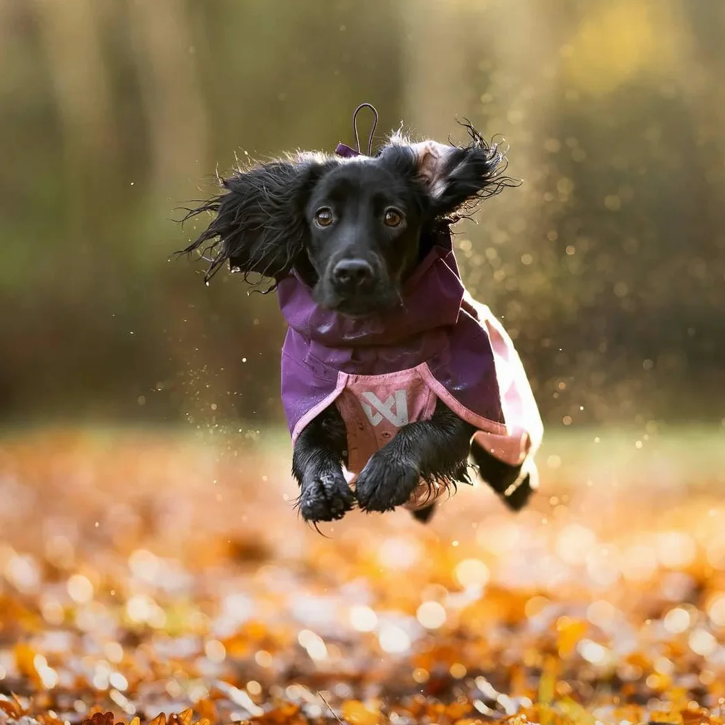 Non-Stop Dogwear Fjord Raincoat 2.0 Impermeable para Perros, Negro/Naranja, Talla 45, Material Poliéster Reciclado