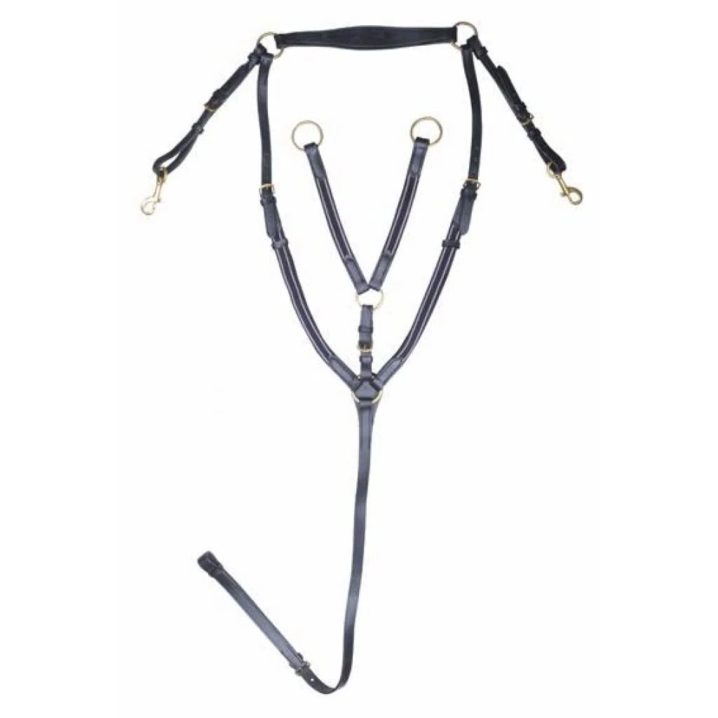 HKM 557949 - Pretal con Martingal, herrajes de Color Dorado, M, Negro