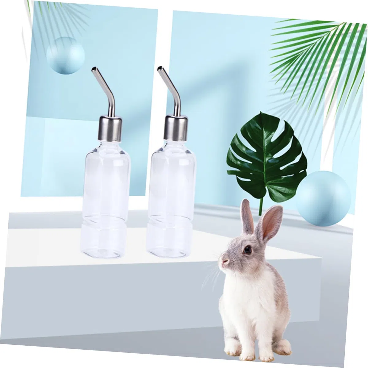 INOOMP 6 Uds Botella De Agua Potable para Mascotas Dispensador De Agua para Conejillo De Indias Bebedero para Hámster Botella De Agua para Conejillo De Indias Botella De Agua