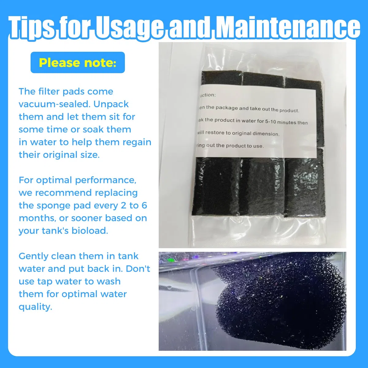 AQUANEAT Paquete de 12 esponjas de prefiltro para acuario, camarones, freír, filtro de tanque de peces, cubierta de espuma de repuesto (2.2 pulgadas de profundidad x 3.9 pulgadas de alto, 1 pulgada)