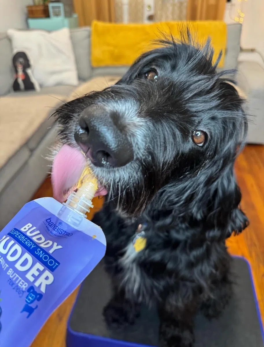 BUDDY BUDDER Bark Bistro Company - Paquete de 6 paquetes de sabores mixtos, mantequilla de maní 100% natural para perros, golosinas saludables para perros con mantequilla de maní, fabricadas en