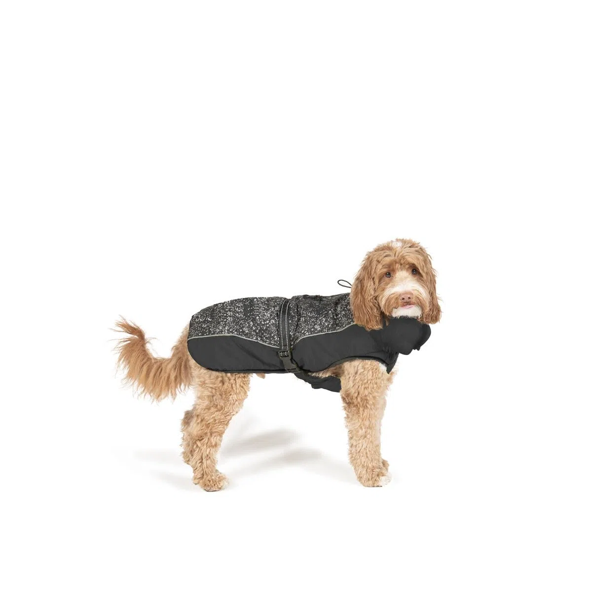 Abrigo para Perro Dog Gone Smart Negro 50 cm - Marca: Dog Gone Smart - EAN: 0849670022949