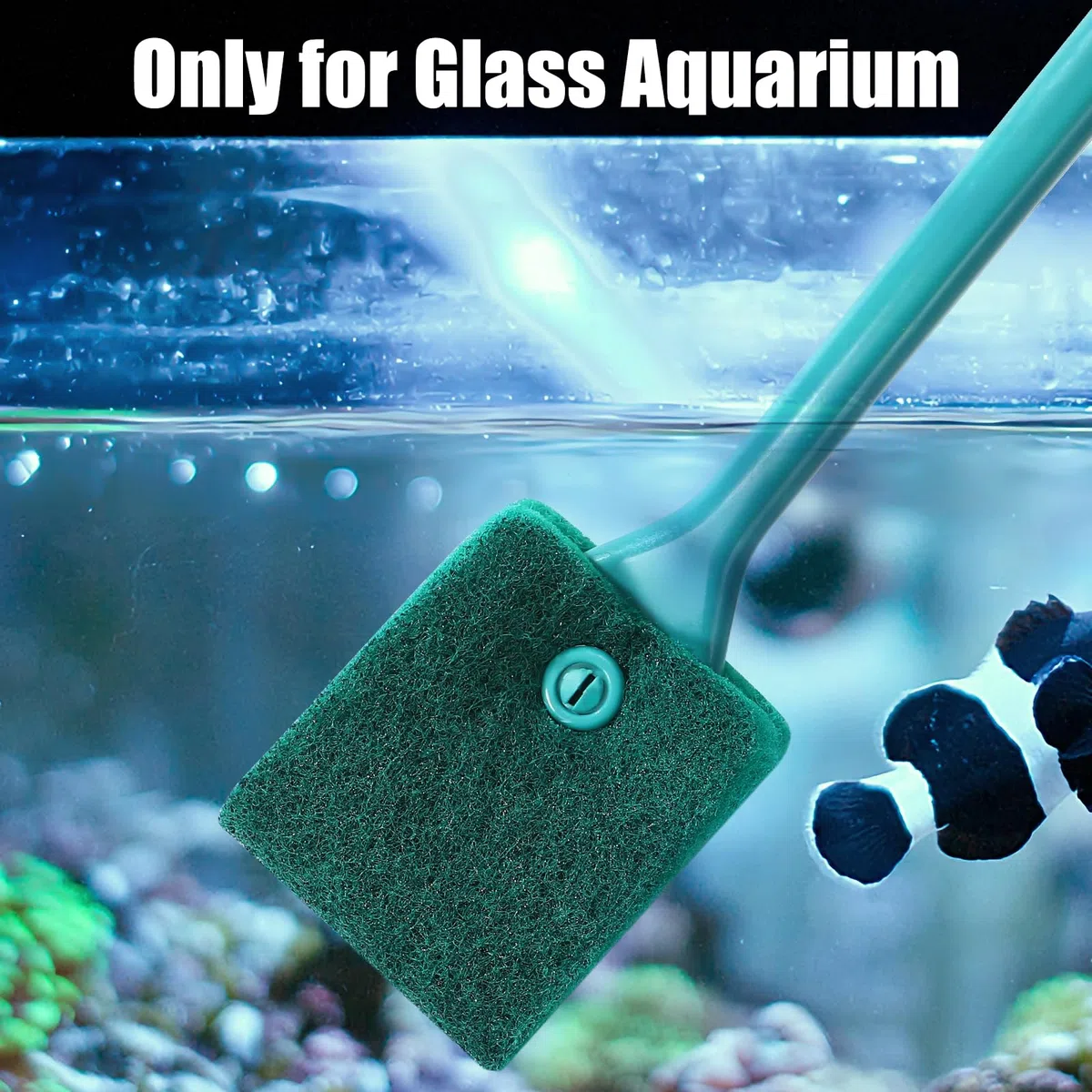 AQUANEAT 3pcs Herramientas de limpieza de peceras, cepillos de acuario, depurador de algas, limpiador de esponja de pecera